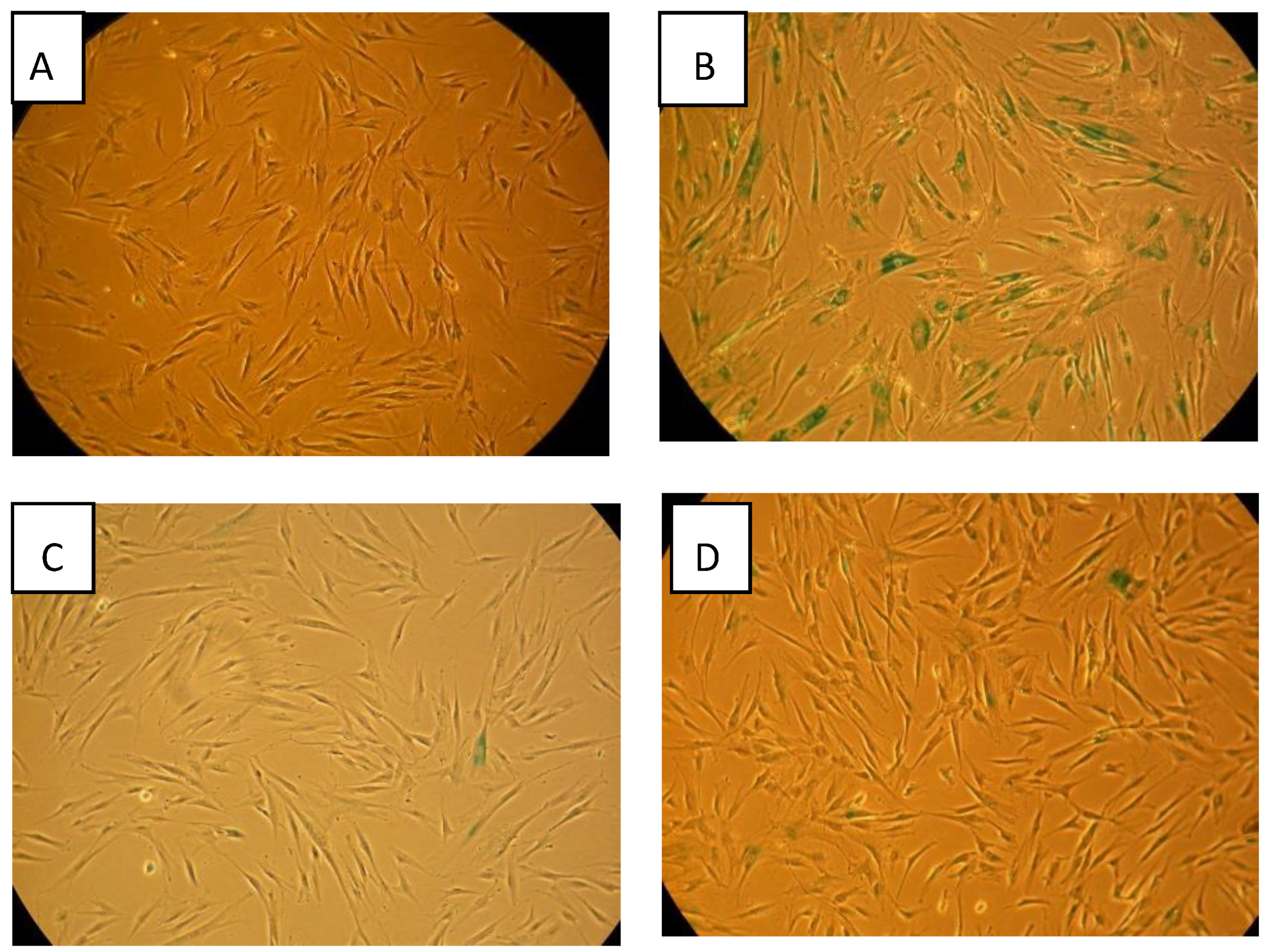 Biology 09 00191 g006 Biology 09 00191 g006