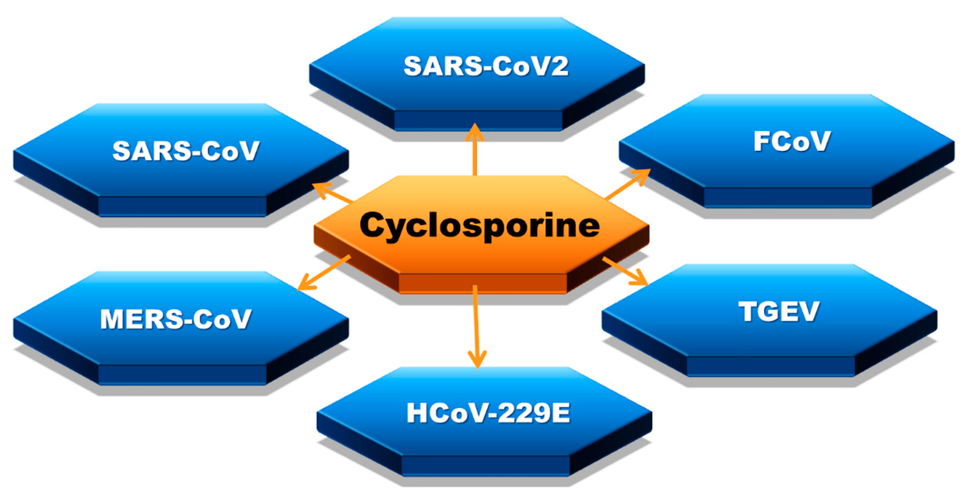 Biology 09 00192 g002 Biology 09 00192 g002