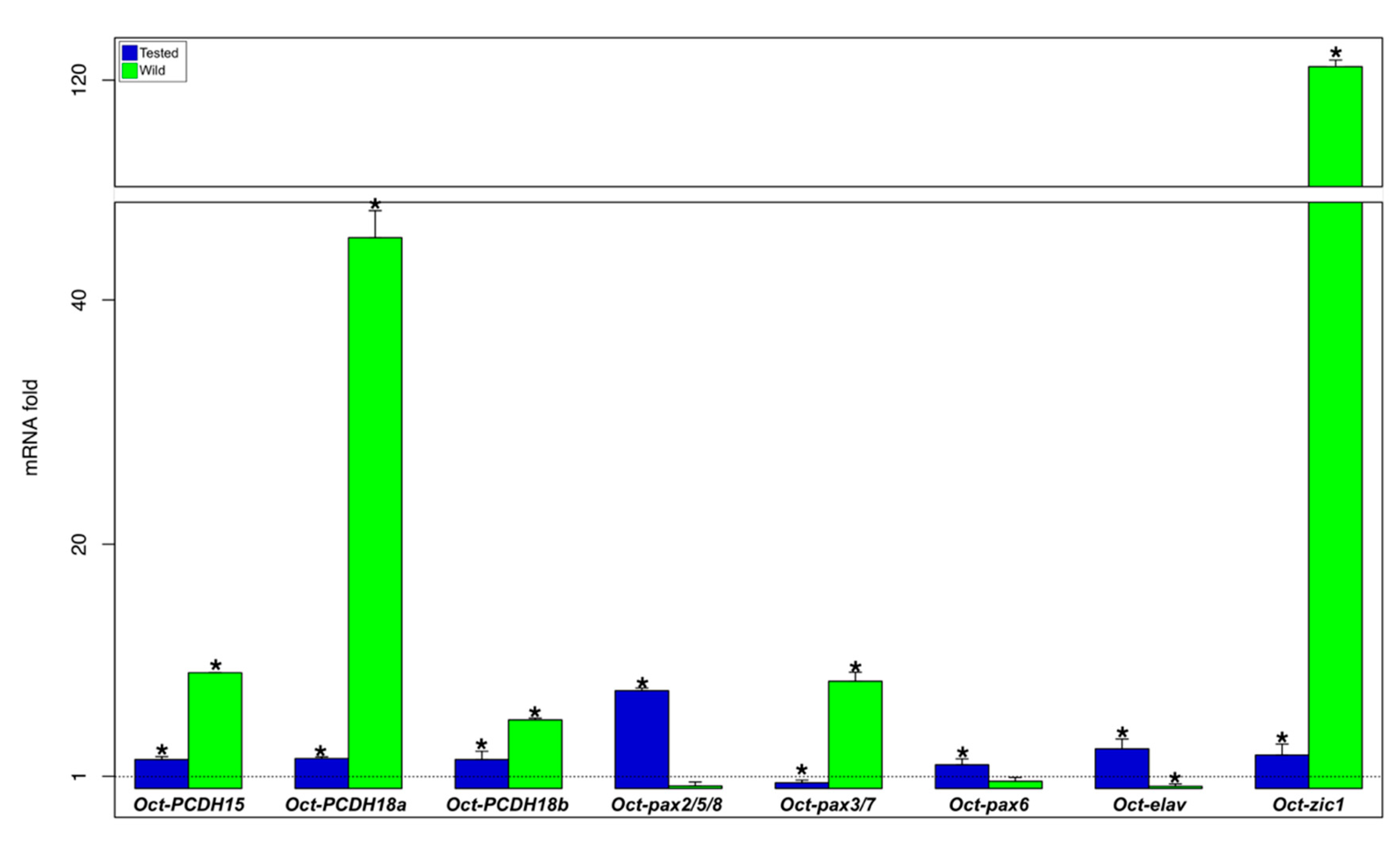 Biology 09 00196 g005 Biology 09 00196 g005