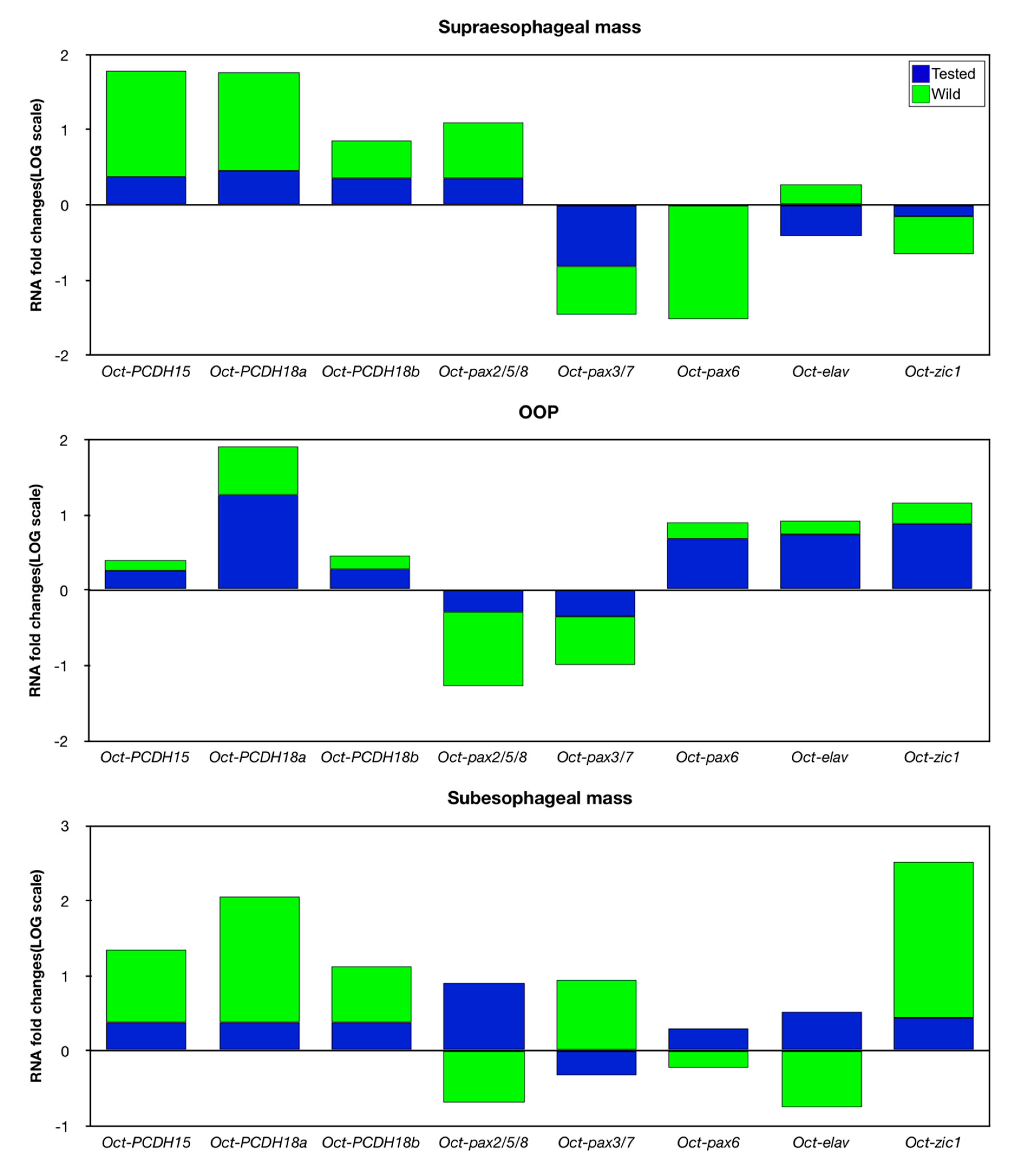 Biology 09 00196 g006 Biology 09 00196 g006