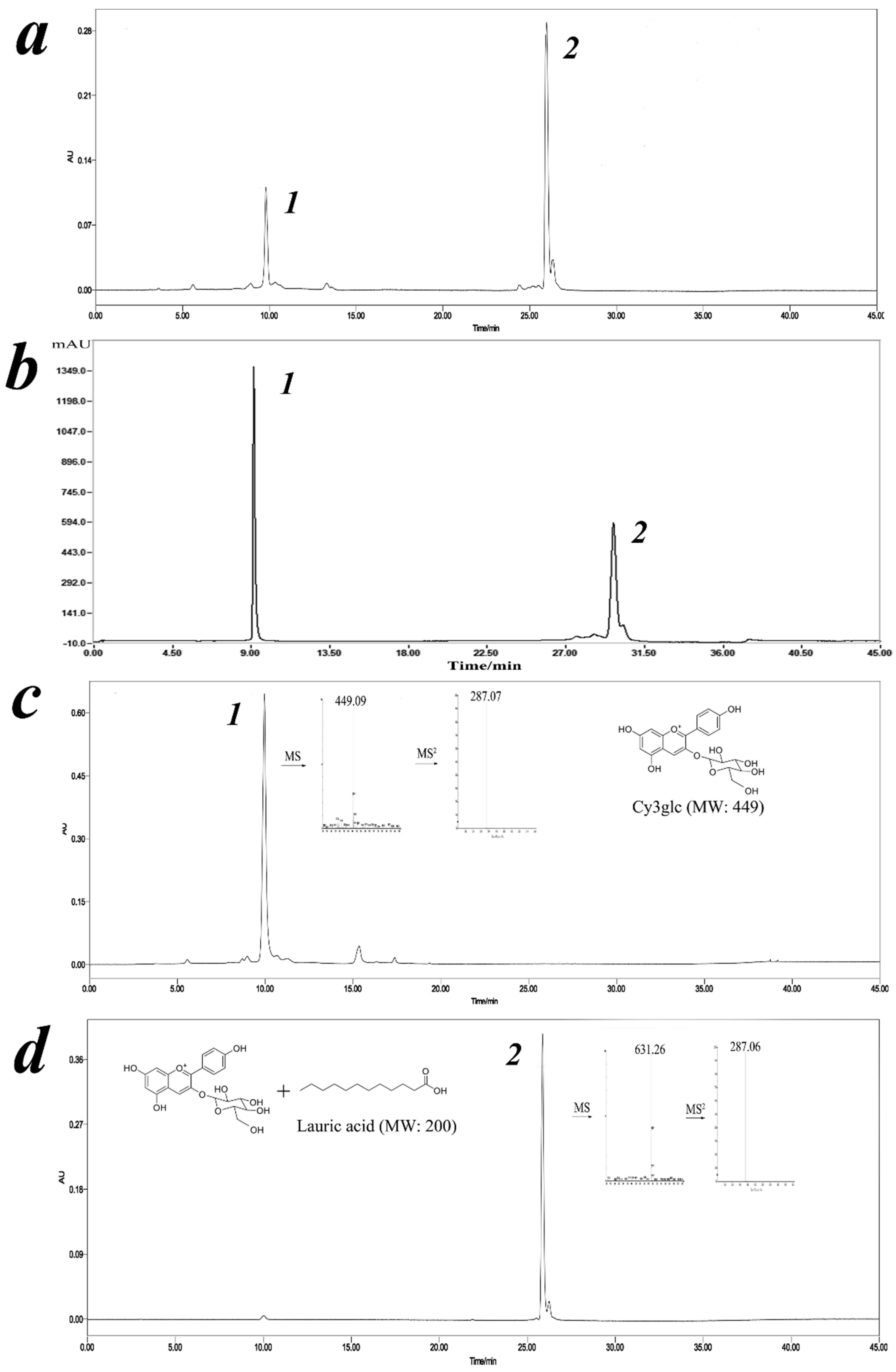 Biology 09 00205 g002