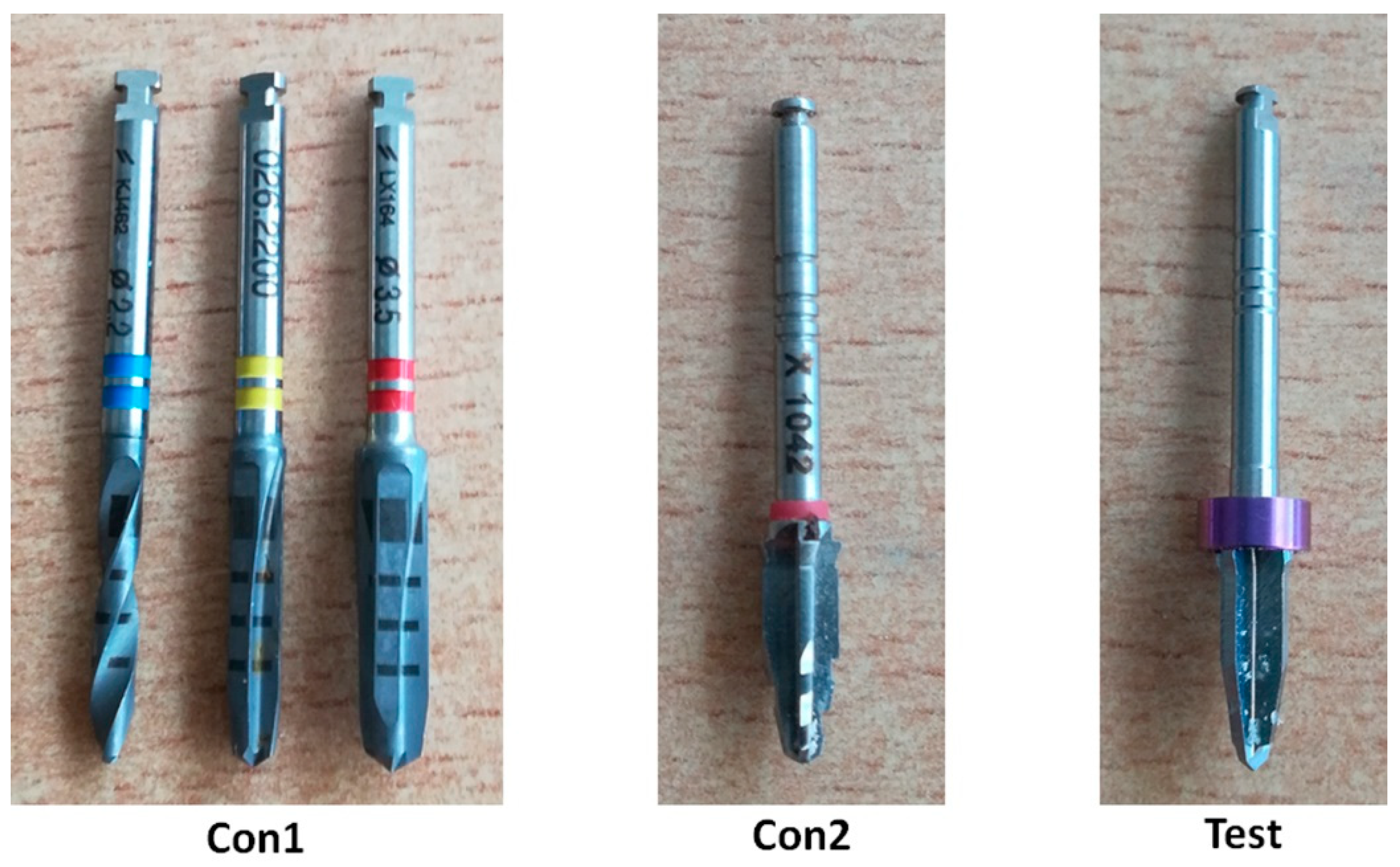 Biology 09 00208 g002