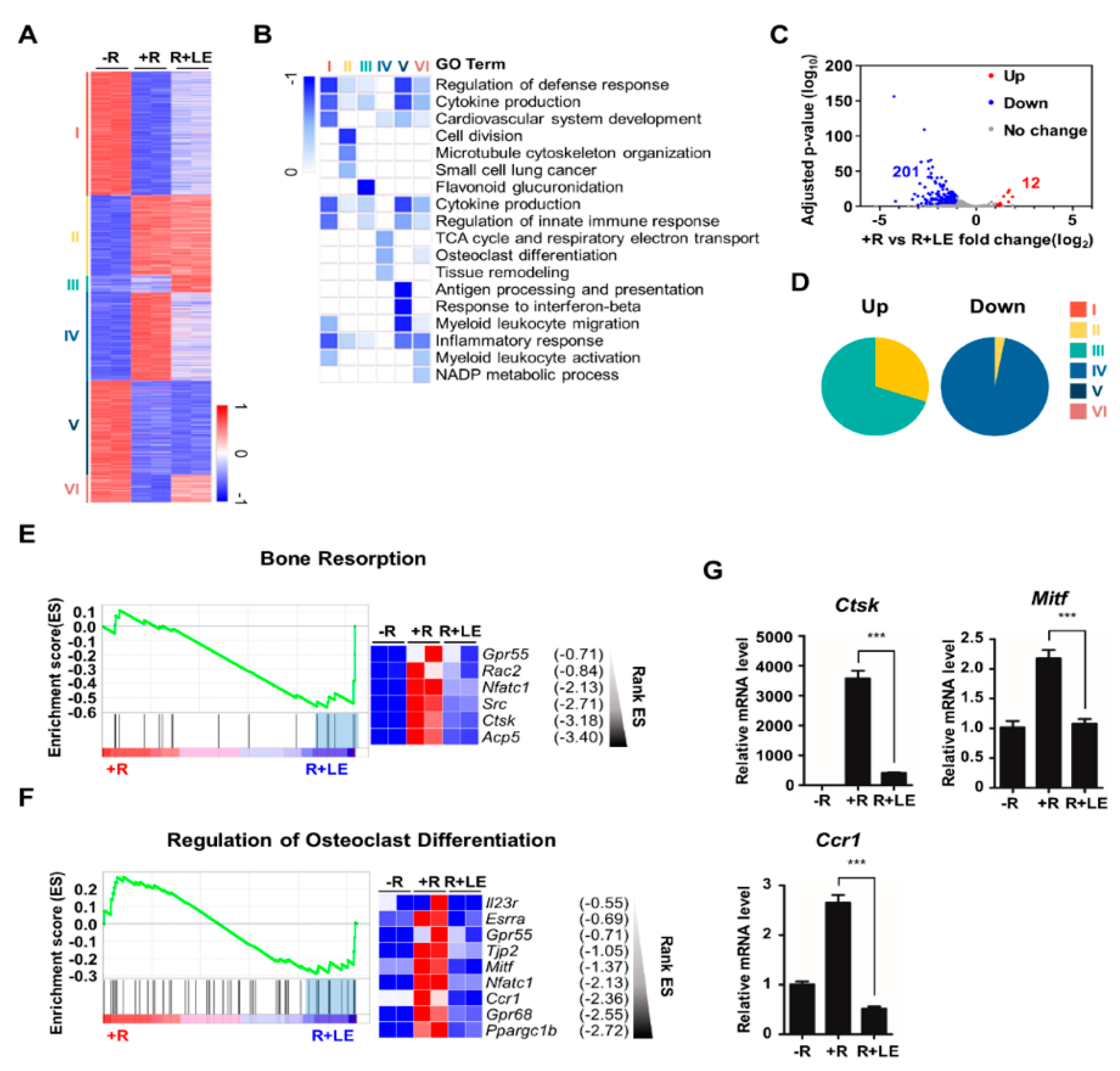 Biology 09 00212 g002