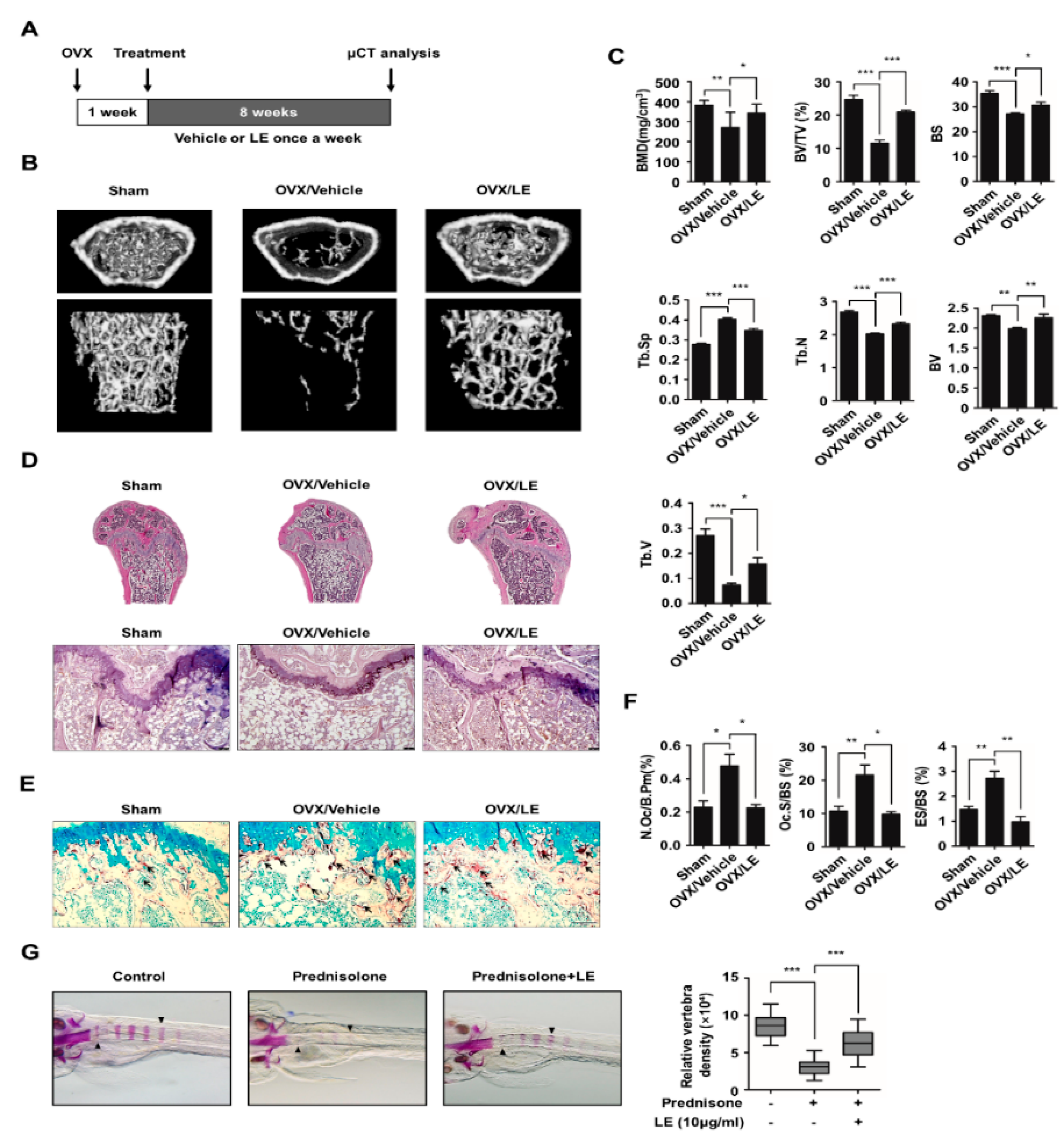 Biology 09 00212 g005