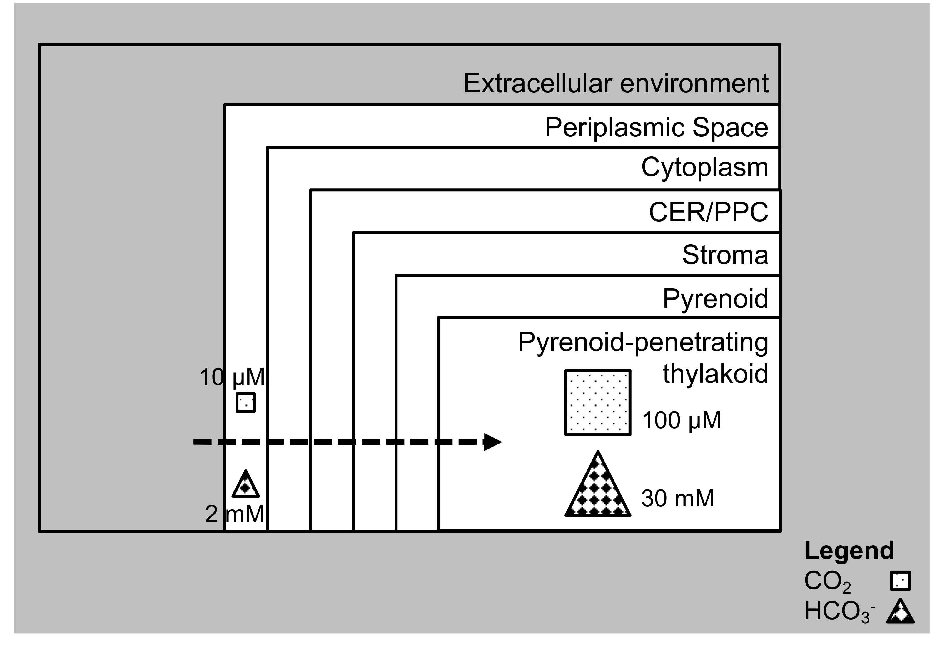 Biology 09 00217 g001 Biology 09 00217 g001