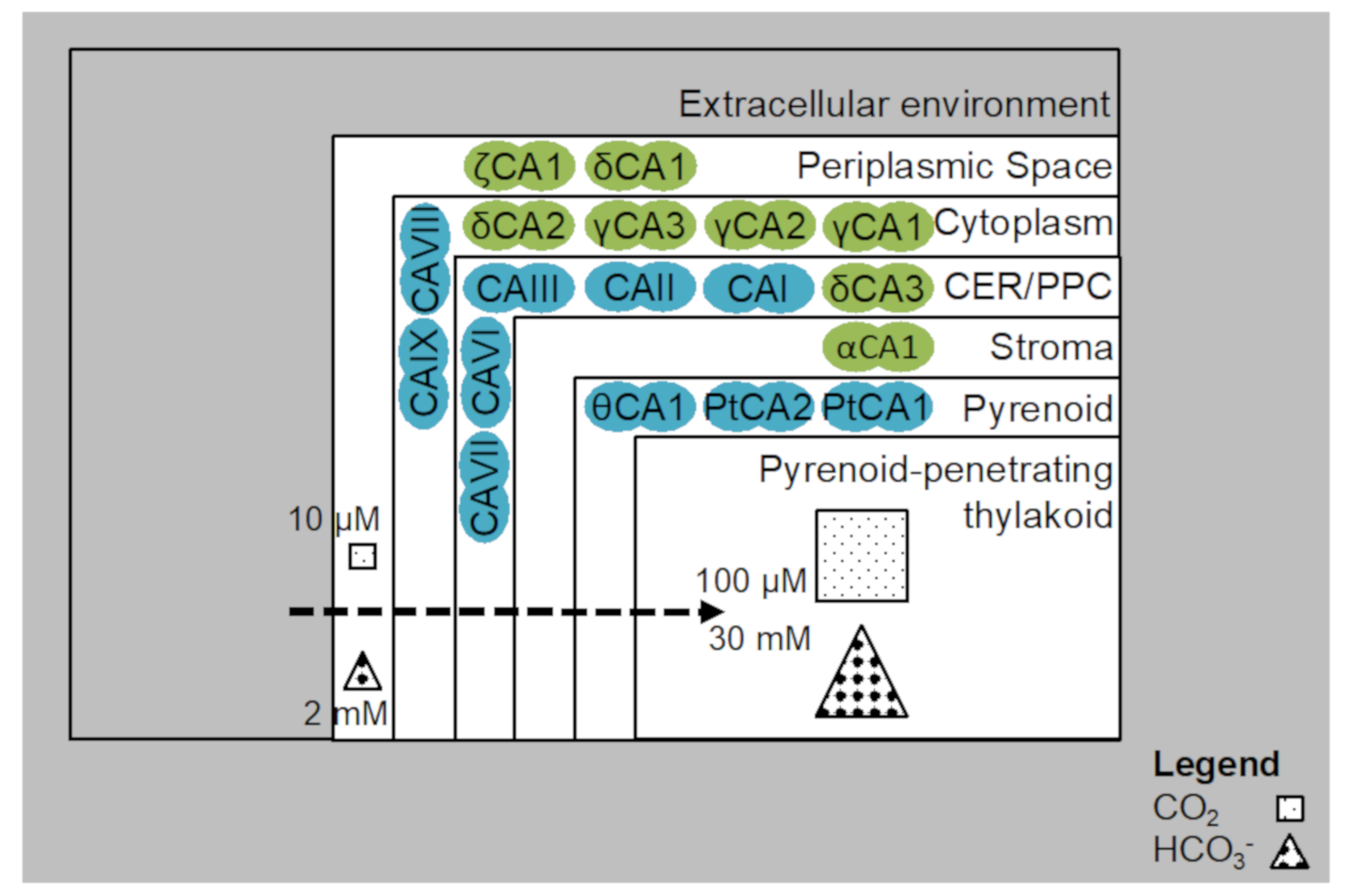 Biology 09 00217 g004 Biology 09 00217 g004