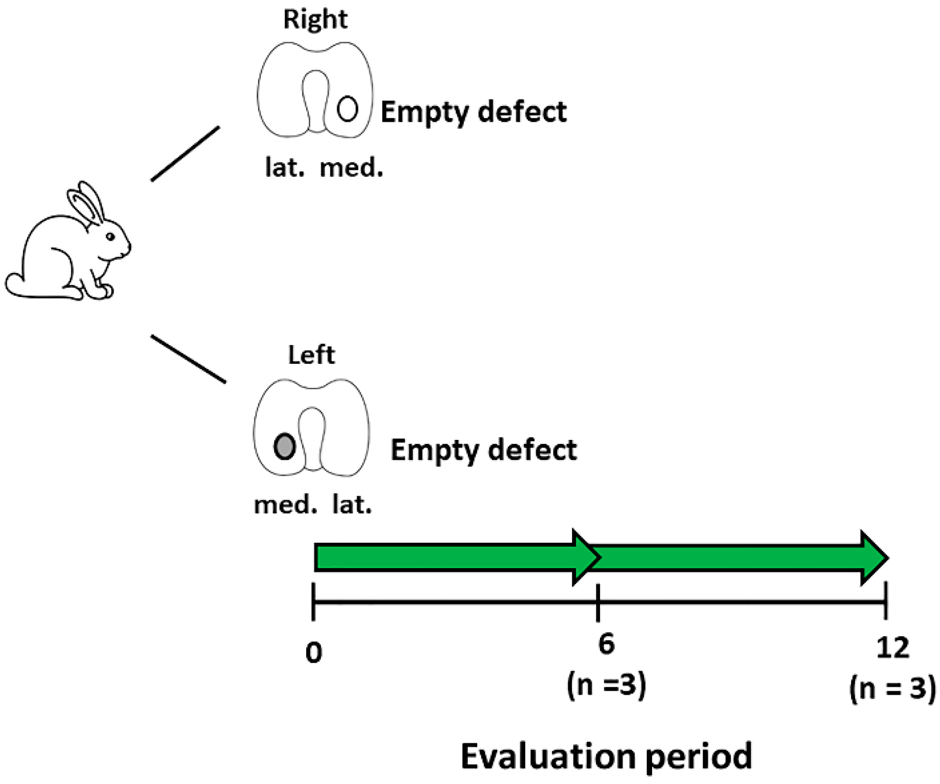Biology 09 00230 g001 Biology 09 00230 g001