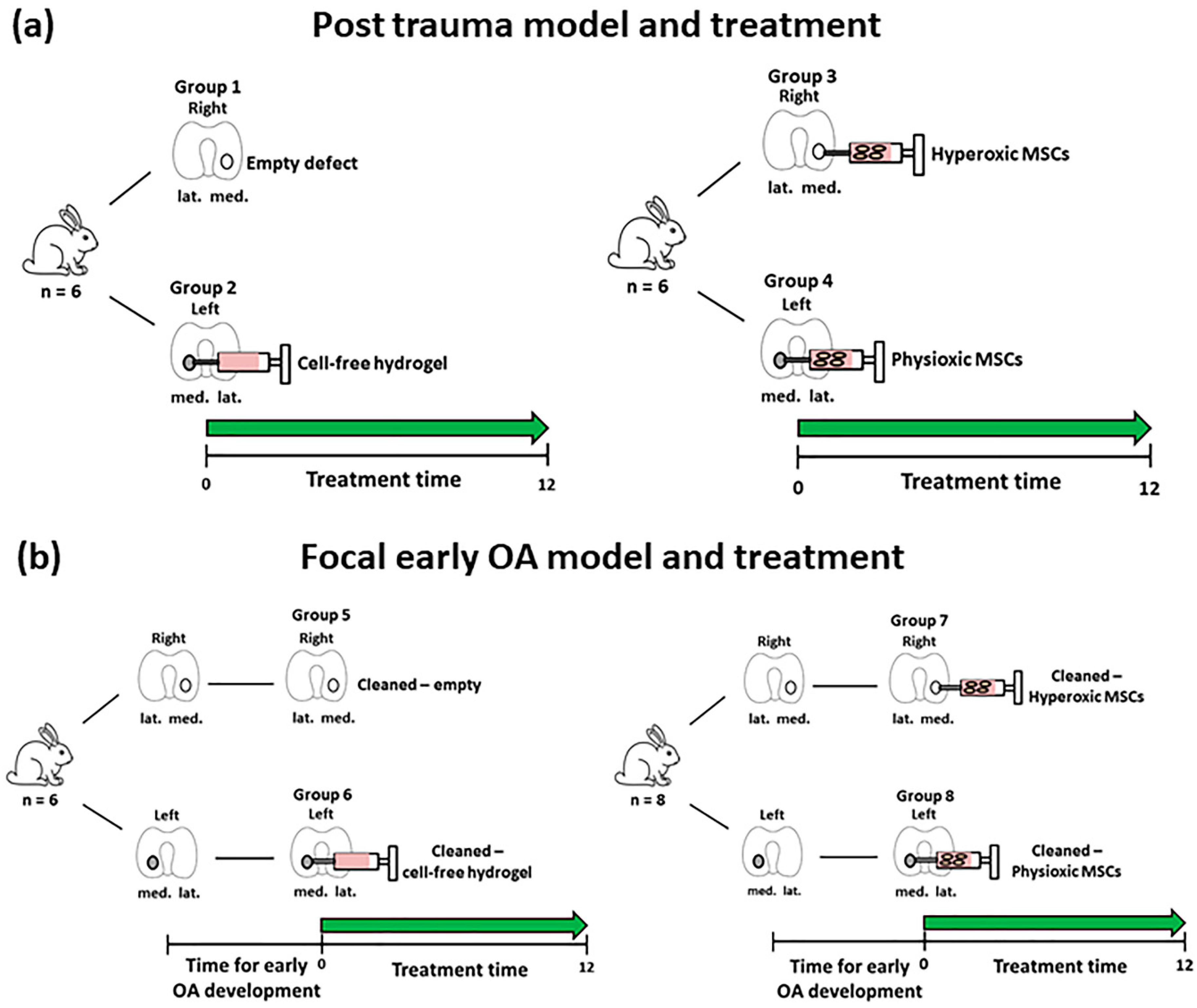 Biology 09 00230 g002 Biology 09 00230 g002