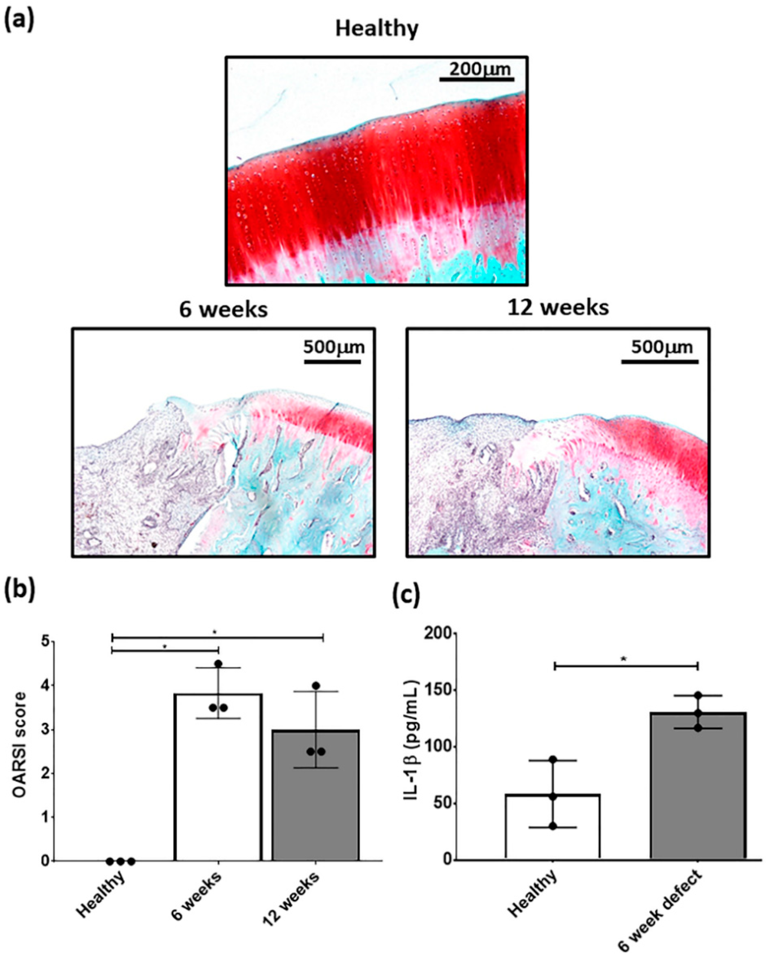 Biology 09 00230 g003 Biology 09 00230 g003