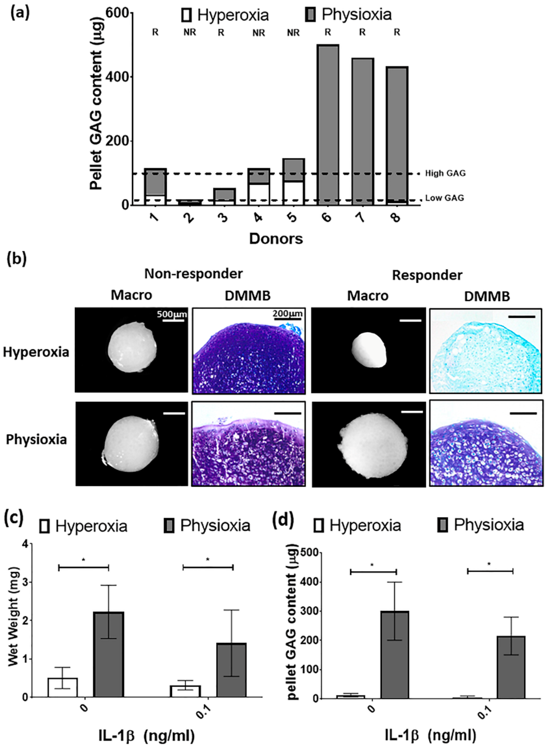 Biology 09 00230 g005 Biology 09 00230 g005
