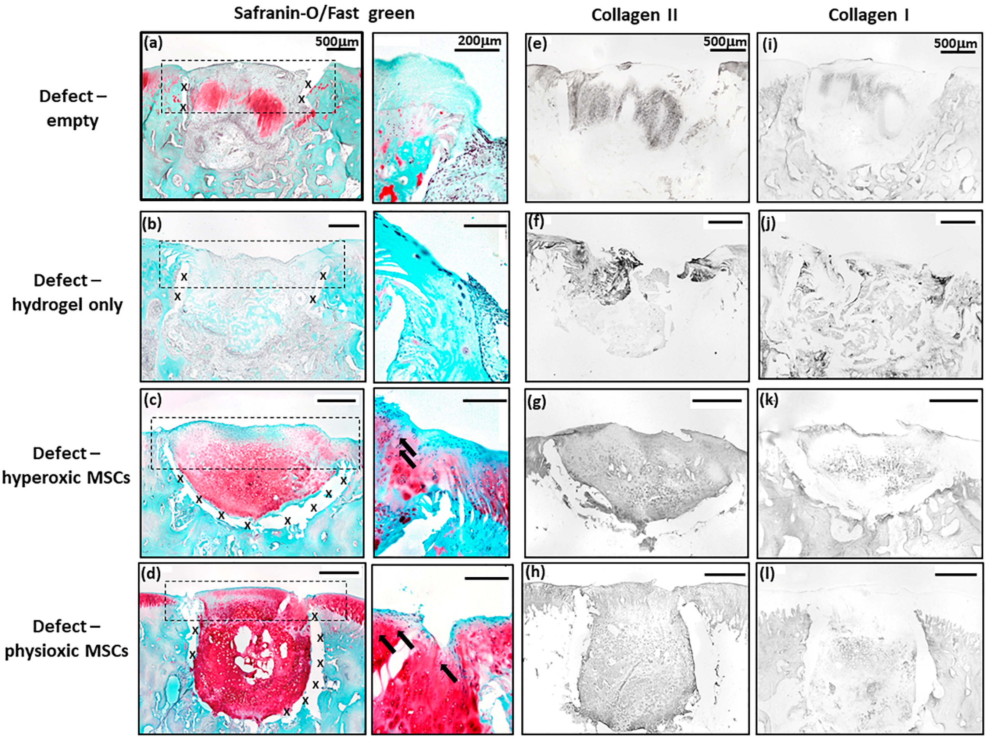 Biology 09 00230 g007 Biology 09 00230 g007