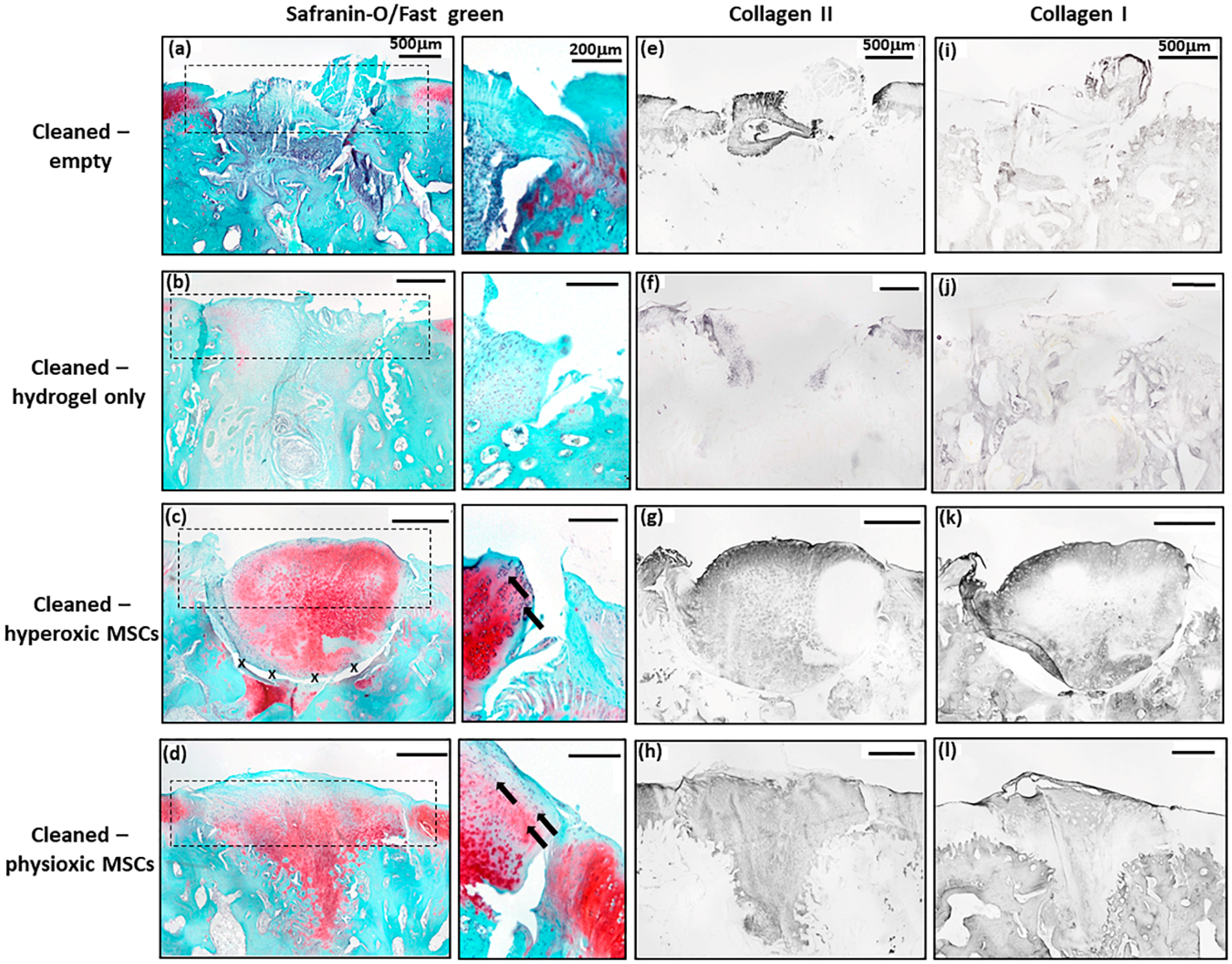 Biology 09 00230 g009 Biology 09 00230 g009