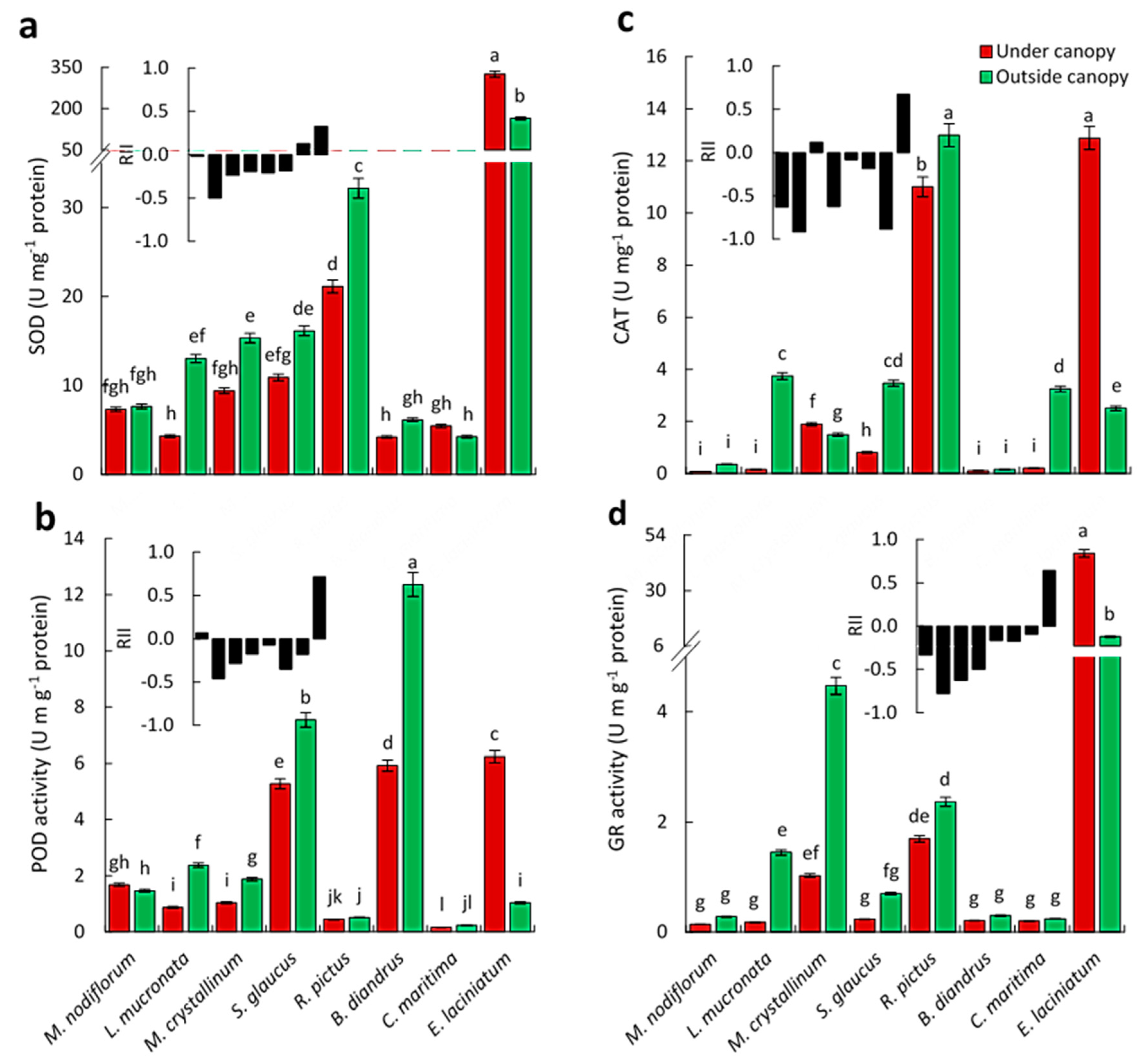 Biology 09 00232 g005