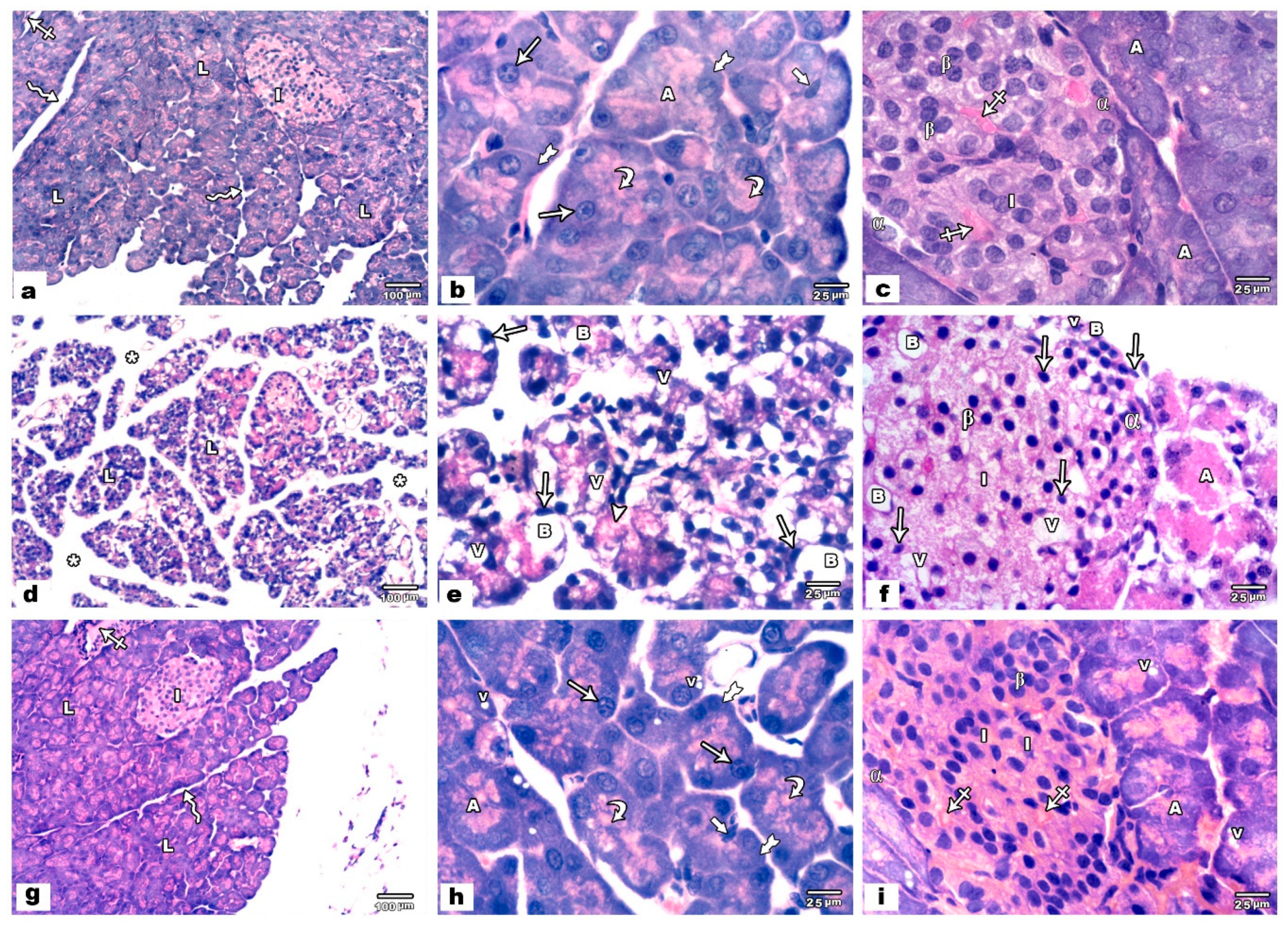 Biology 09 00239 g001