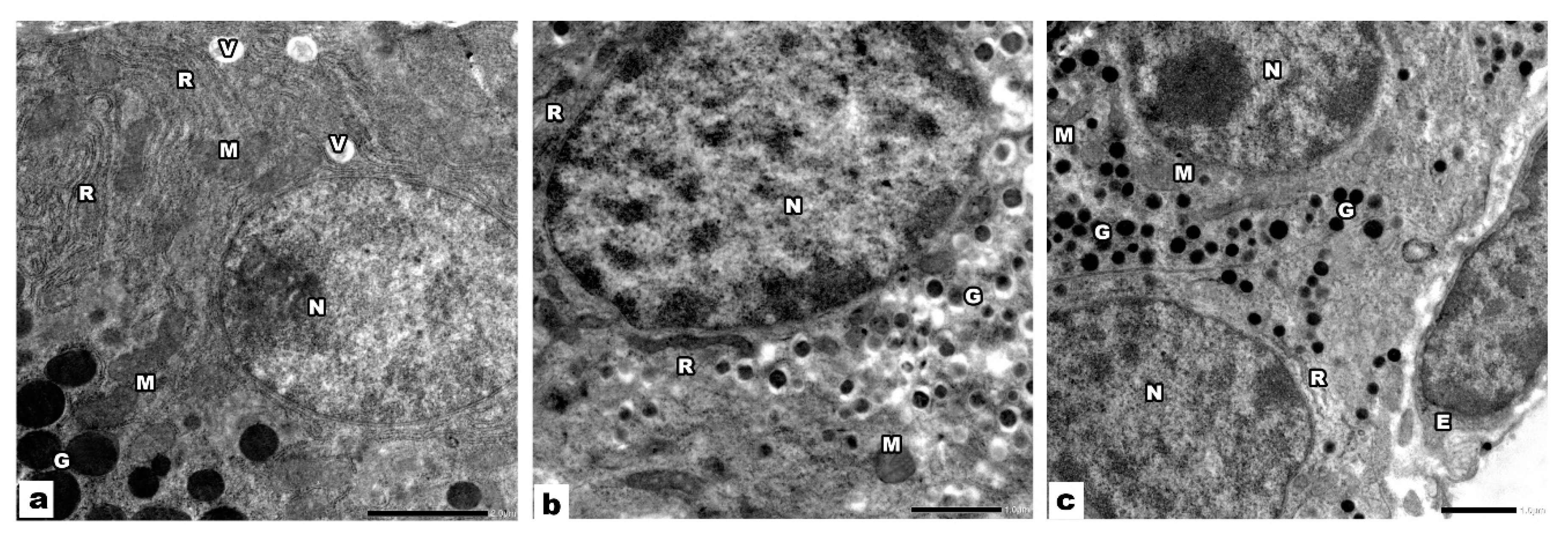 Biology 09 00239 g005