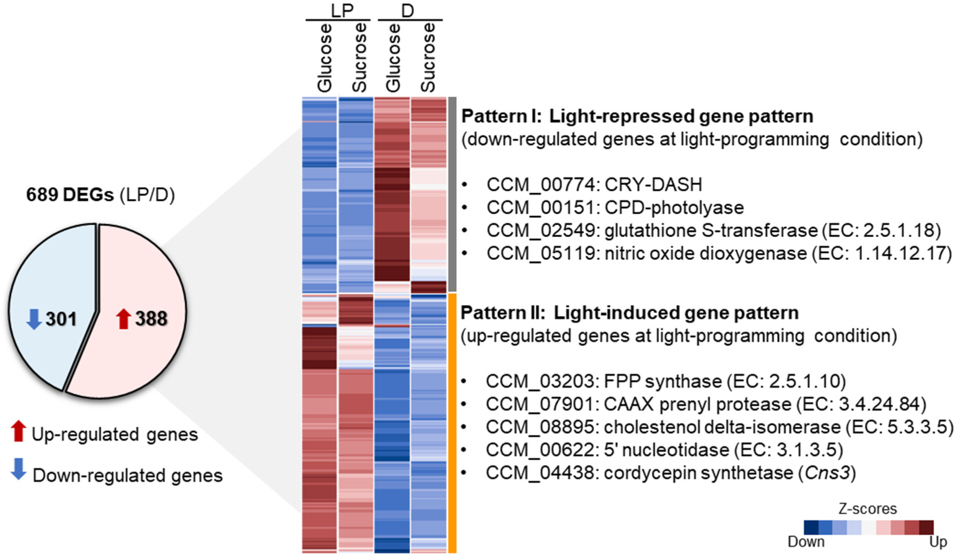 Biology 09 00242 g003