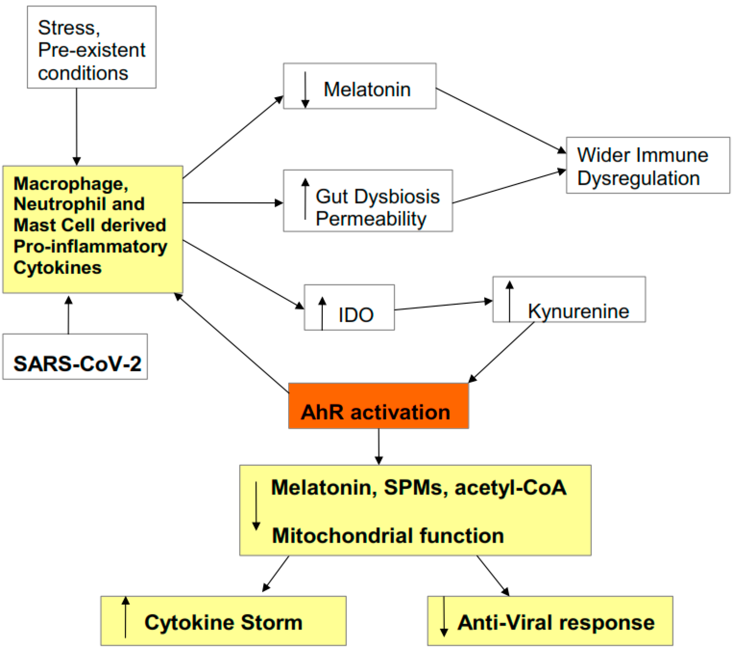 Biology 09 00249 g001