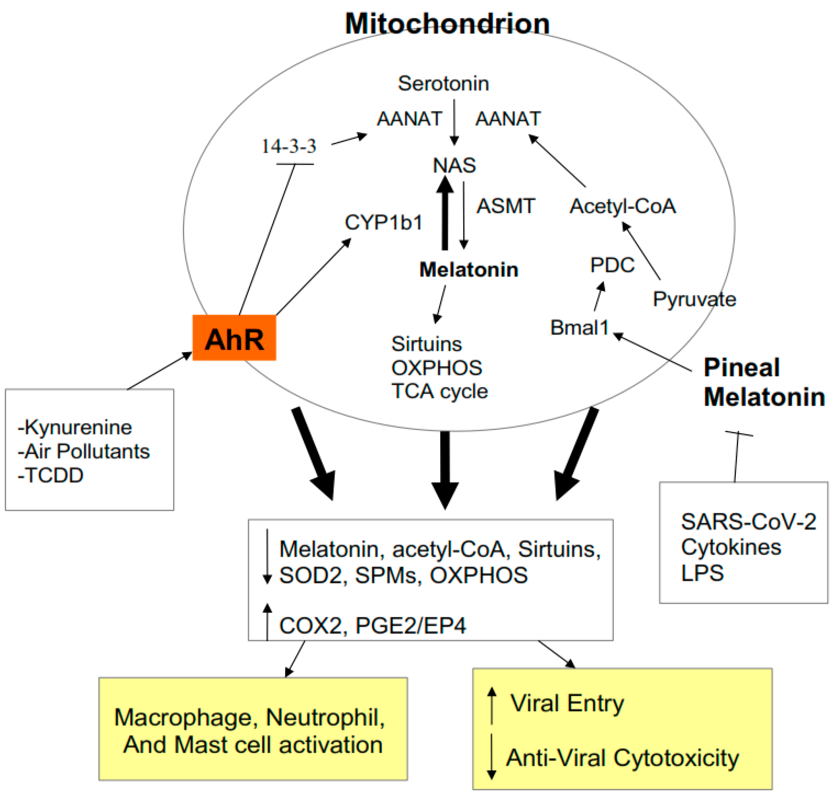 Biology 09 00249 g003