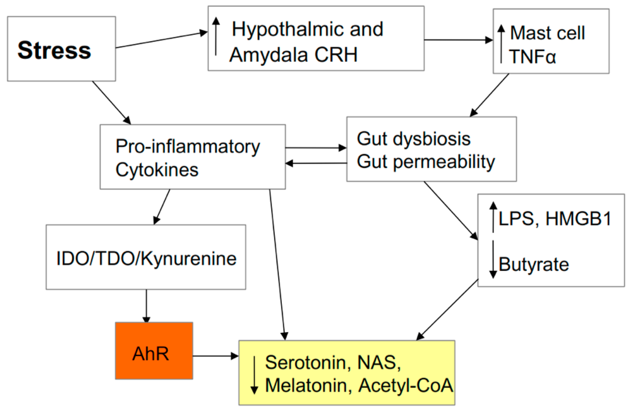 Biology 09 00249 g004