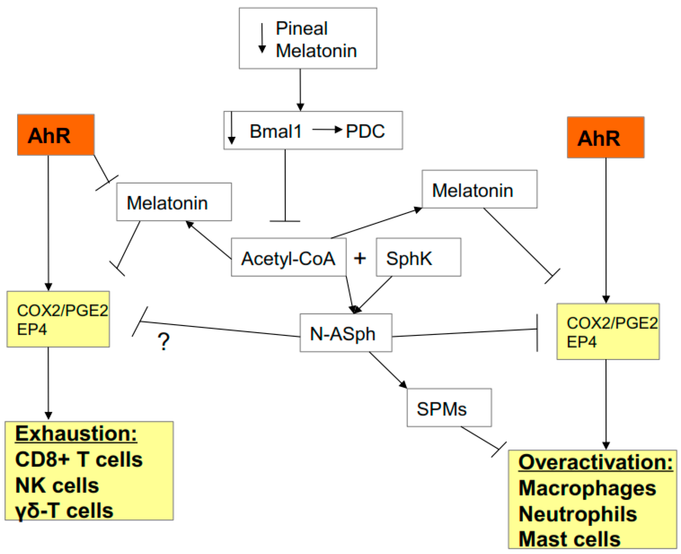 Biology 09 00249 g006