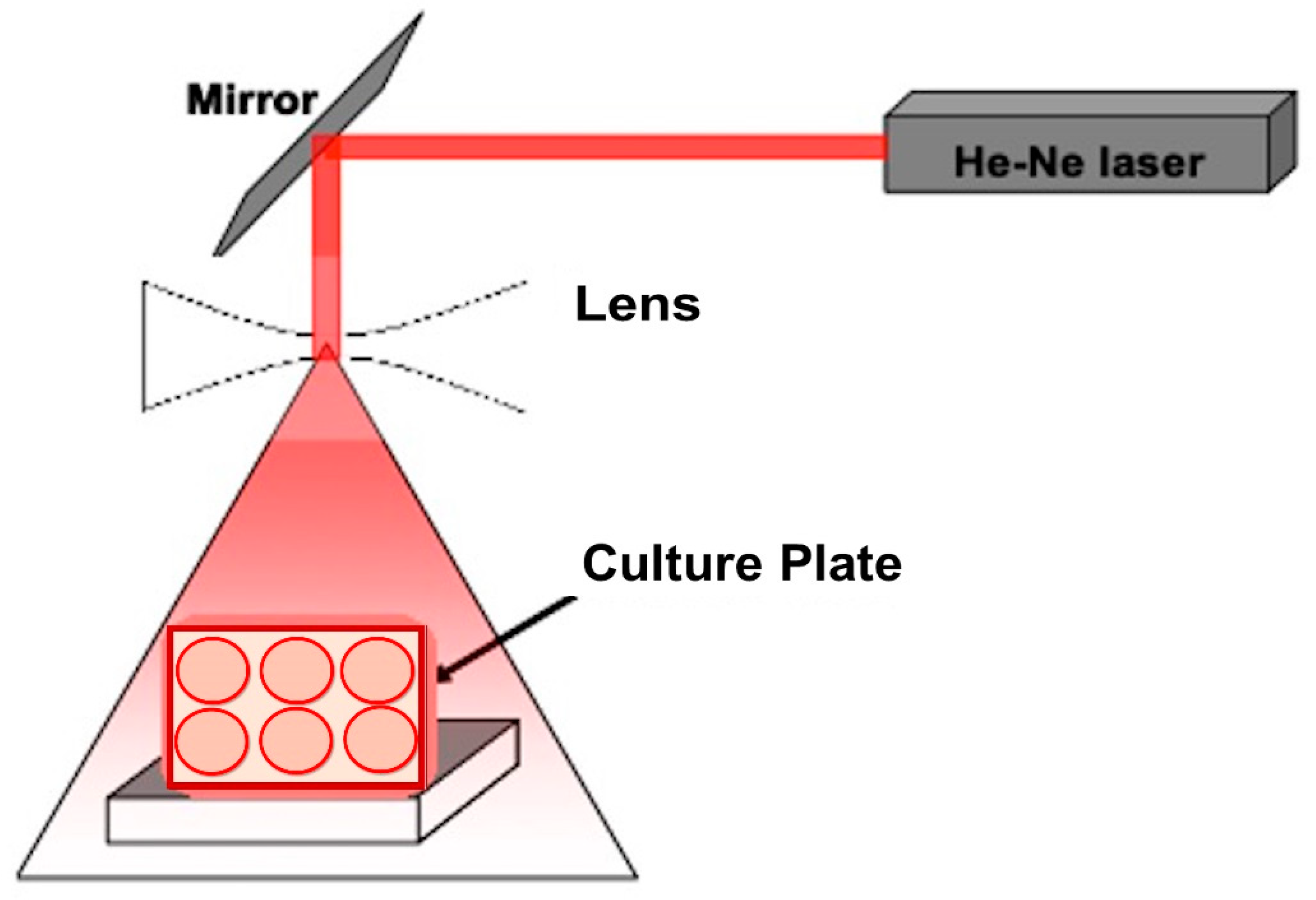 Biology 09 00256 g001
