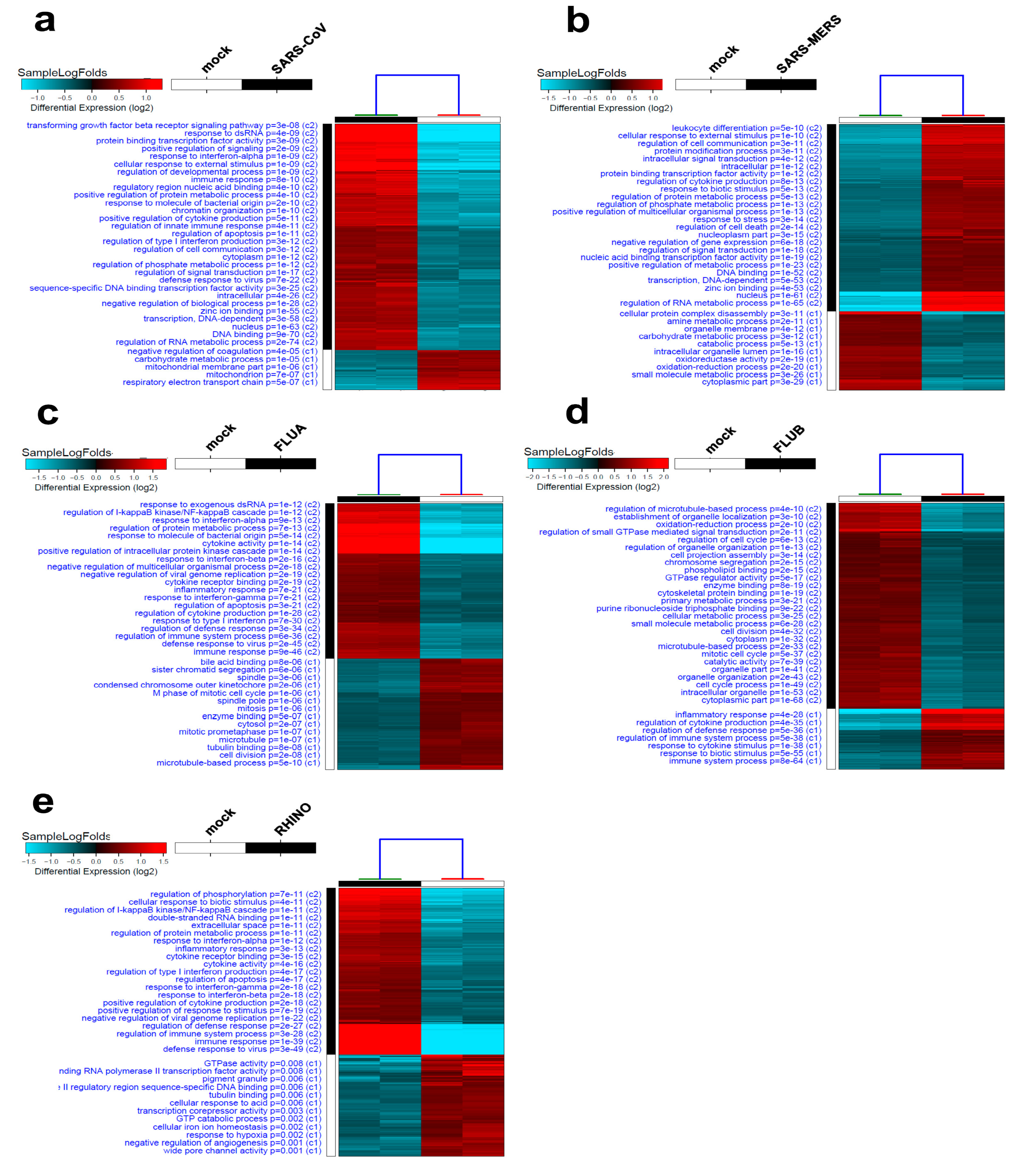 Biology 09 00260 g002