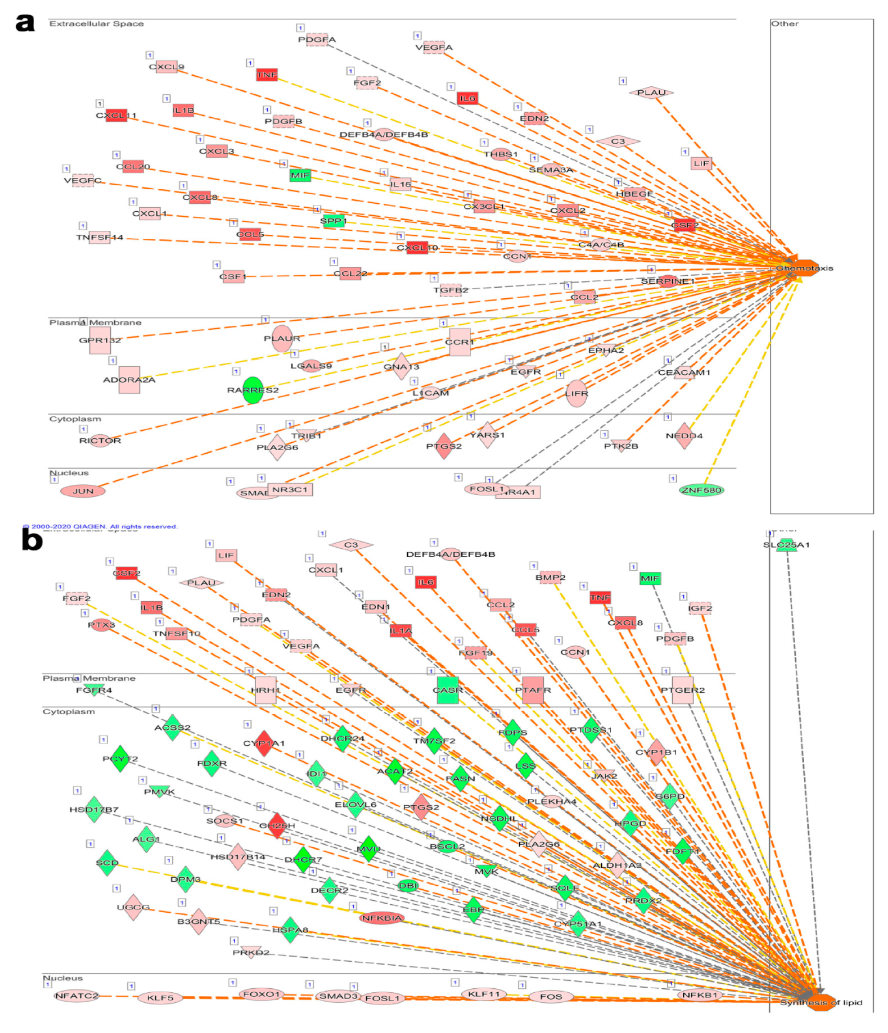 Biology 09 00260 g007