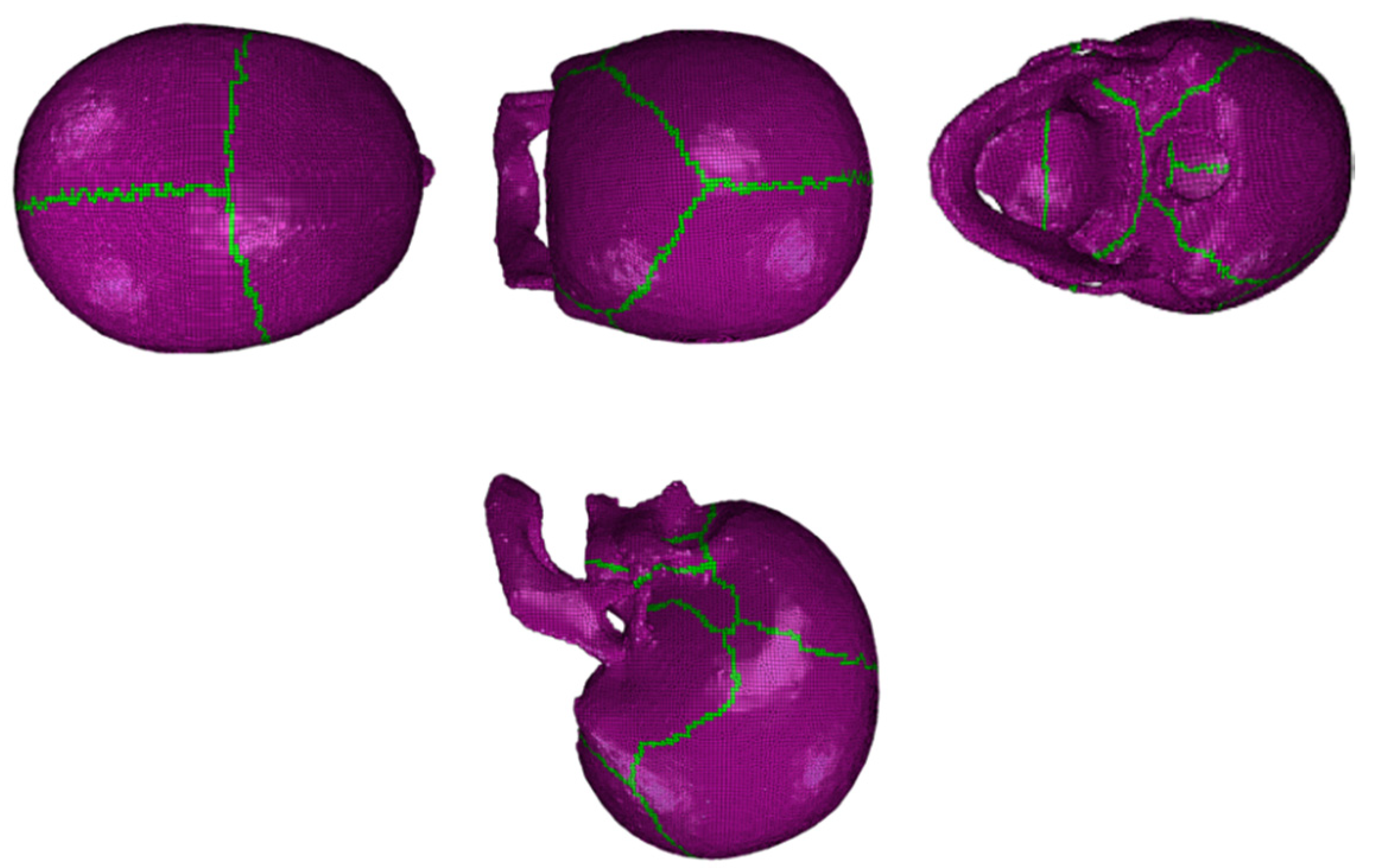 Biology 09 00267 g002 Biology 09 00267 g002