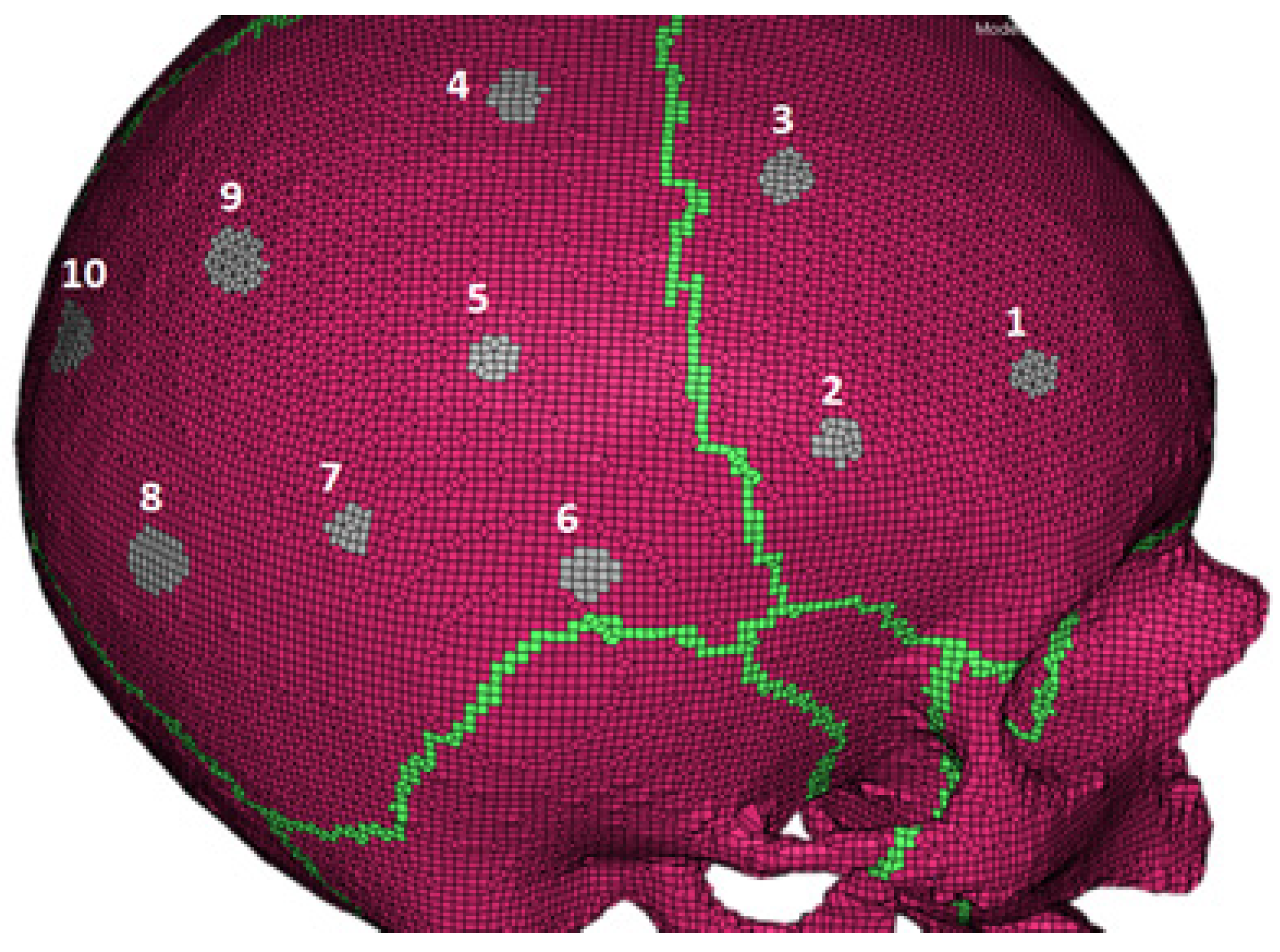 Biology 09 00267 g008 Biology 09 00267 g008