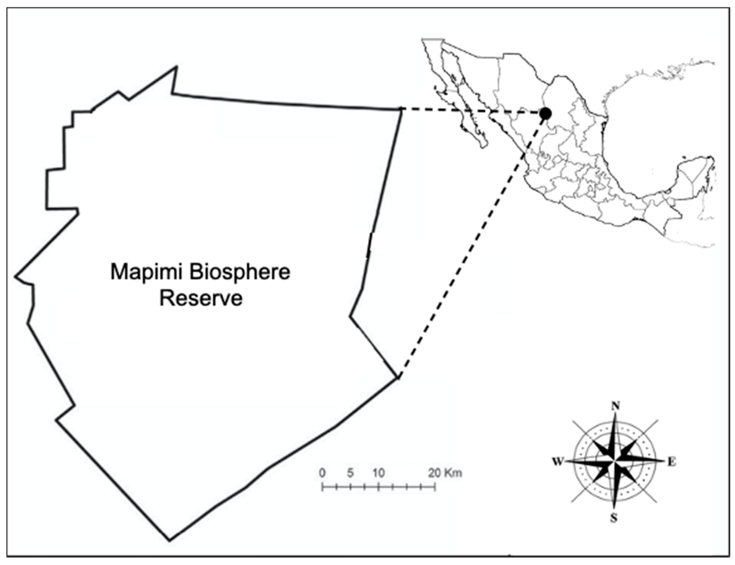 Biology 09 00275 g001 Biology 09 00275 g001