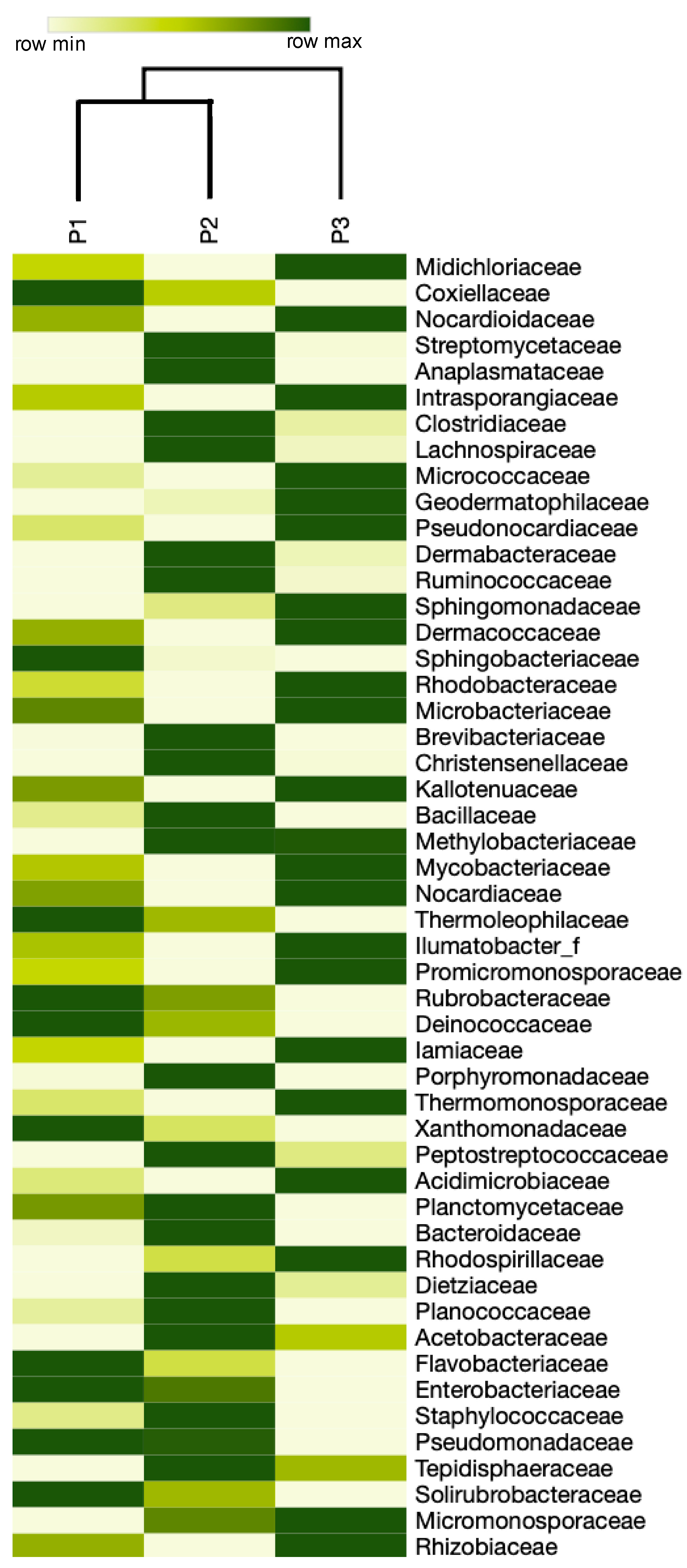 Biology 09 00275 g005 Biology 09 00275 g005