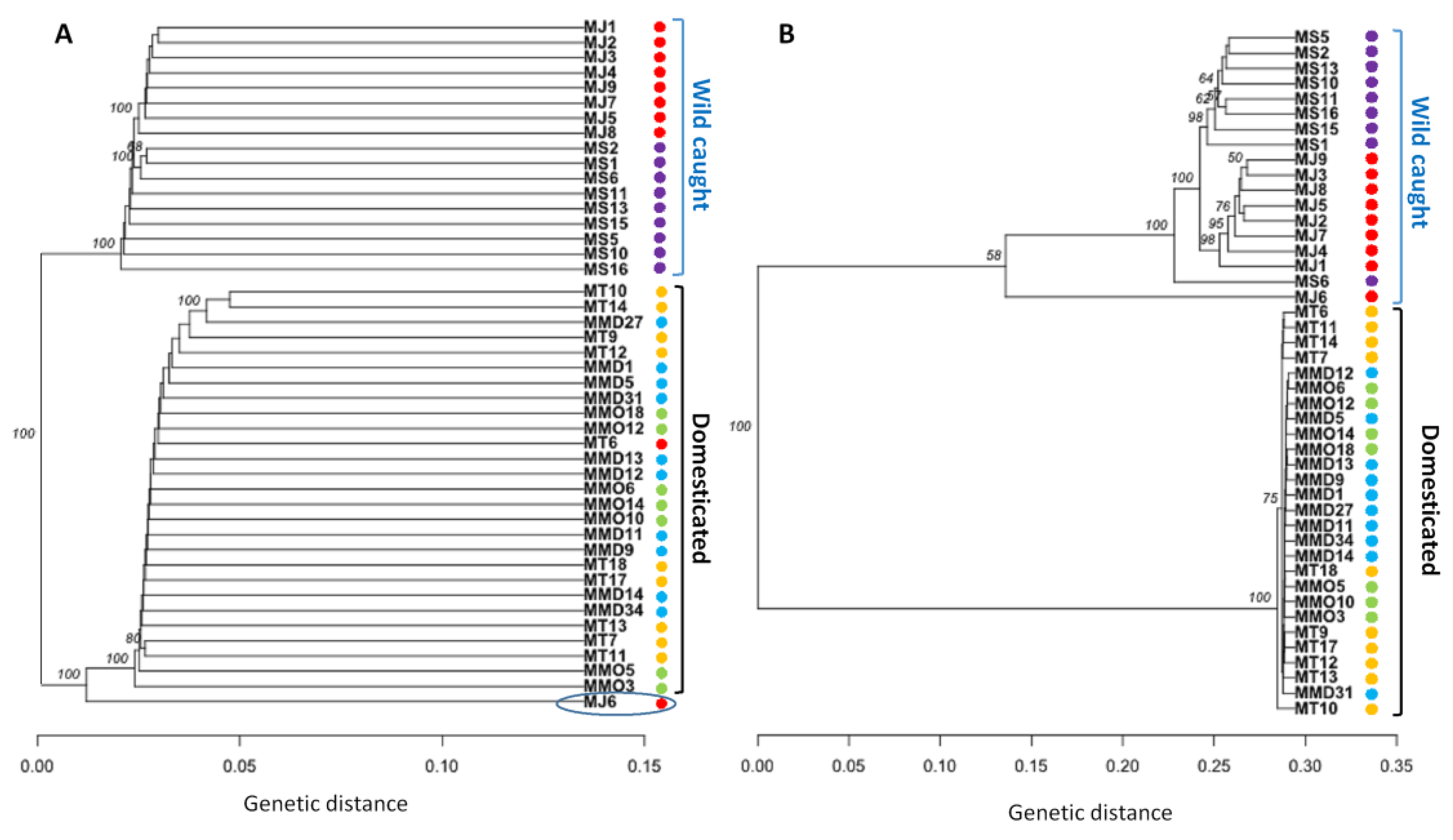 Biology 09 00277 g004 Biology 09 00277 g004