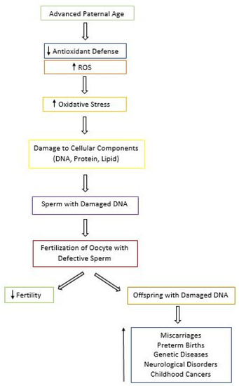 Biology 09 00282 g002 550