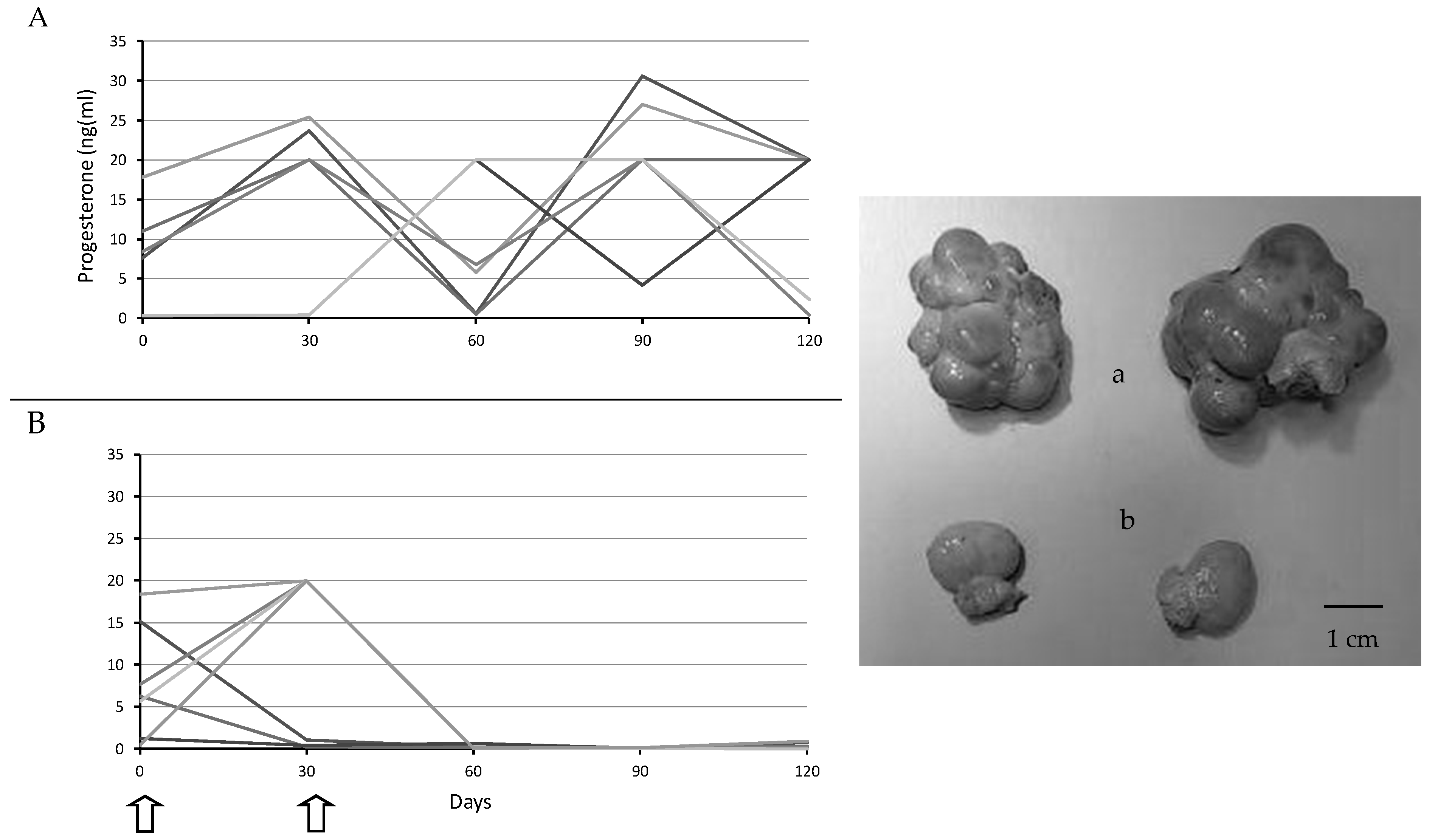 Biology 09 00284 g001