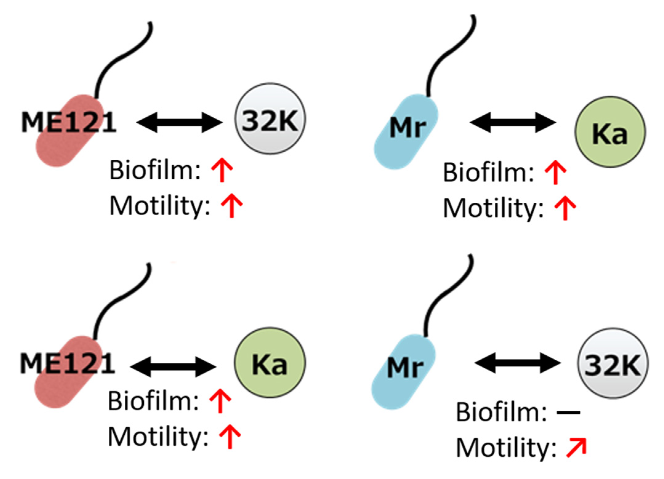 Biology 09 00287 g007