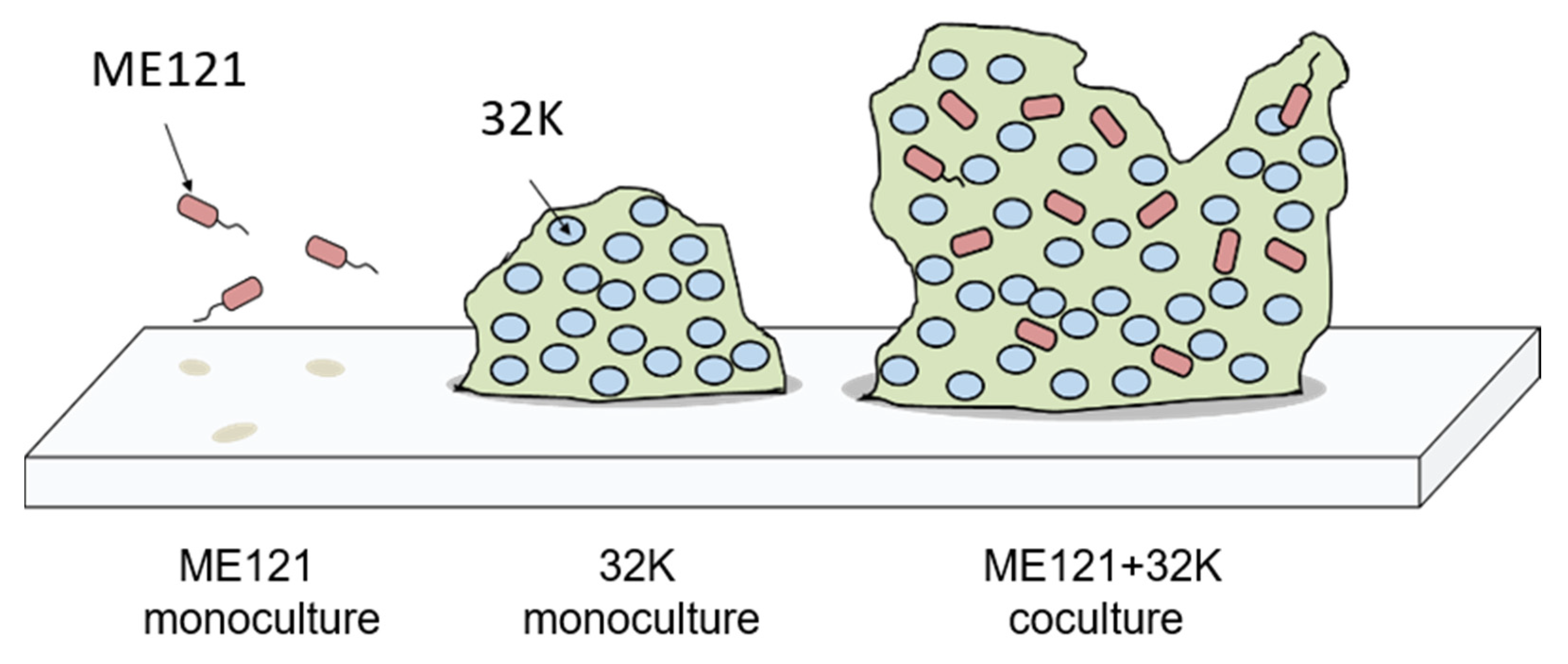 Biology 09 00287 g008