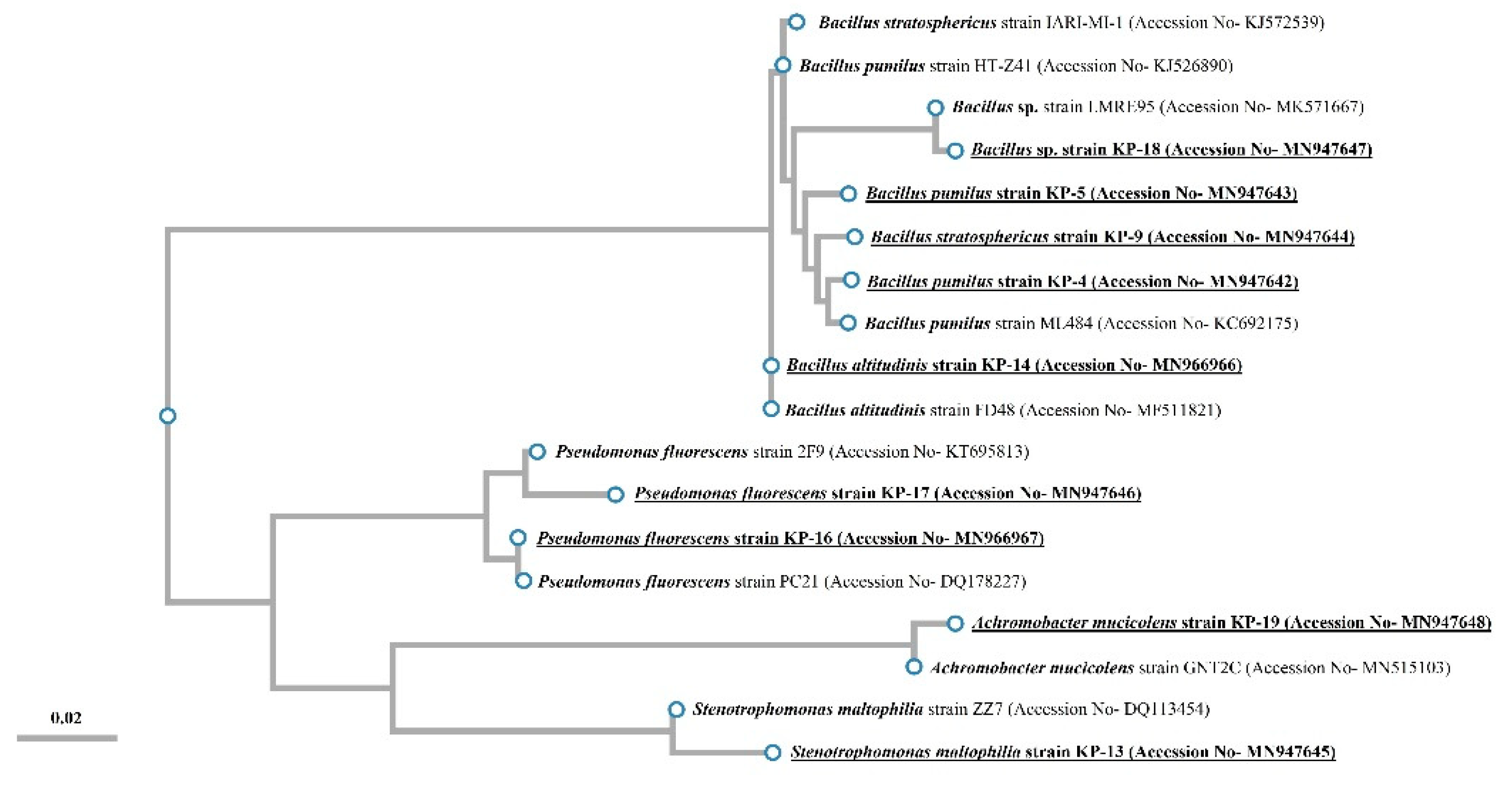 Biology 09 00305 g001