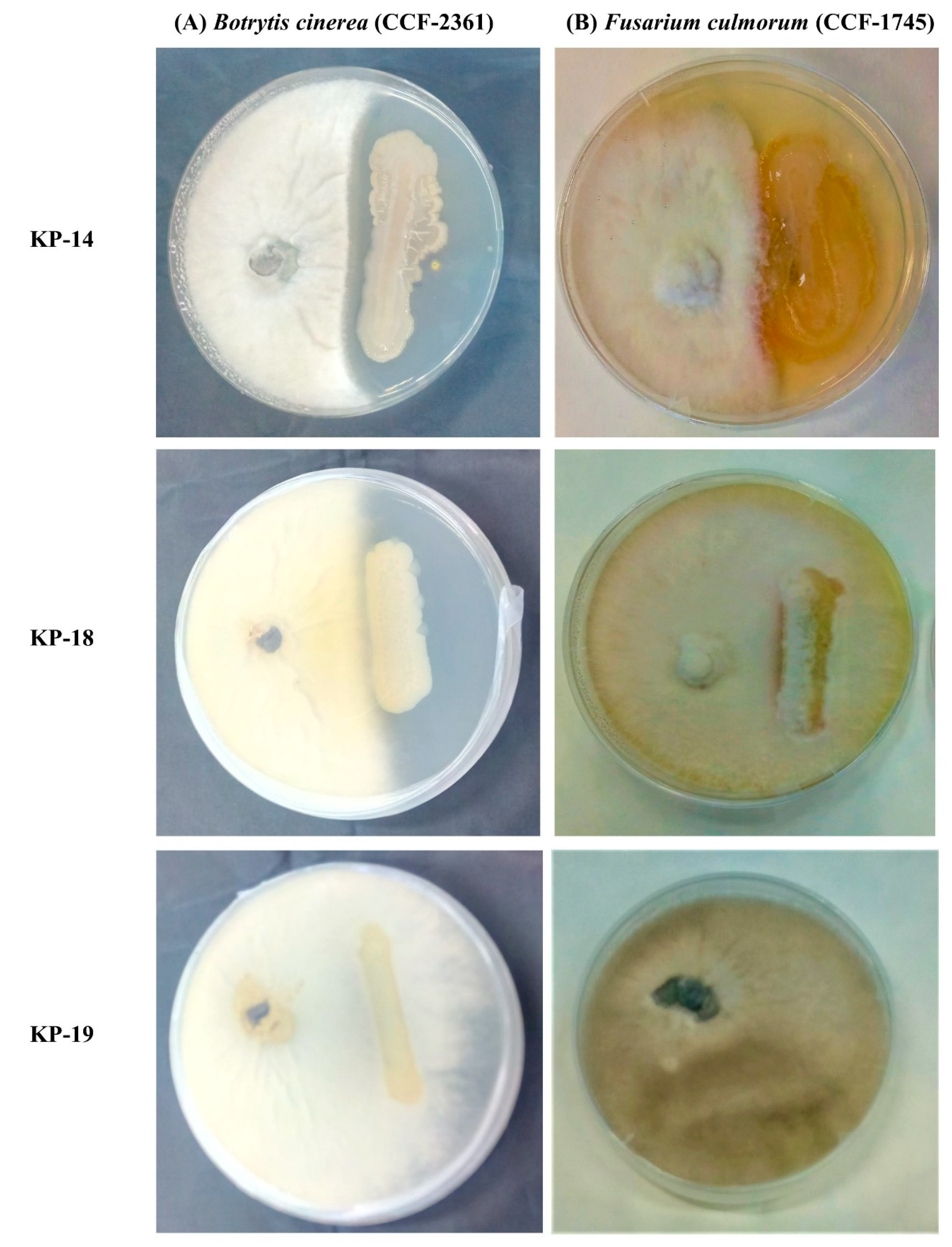 Biology 09 00305 g003