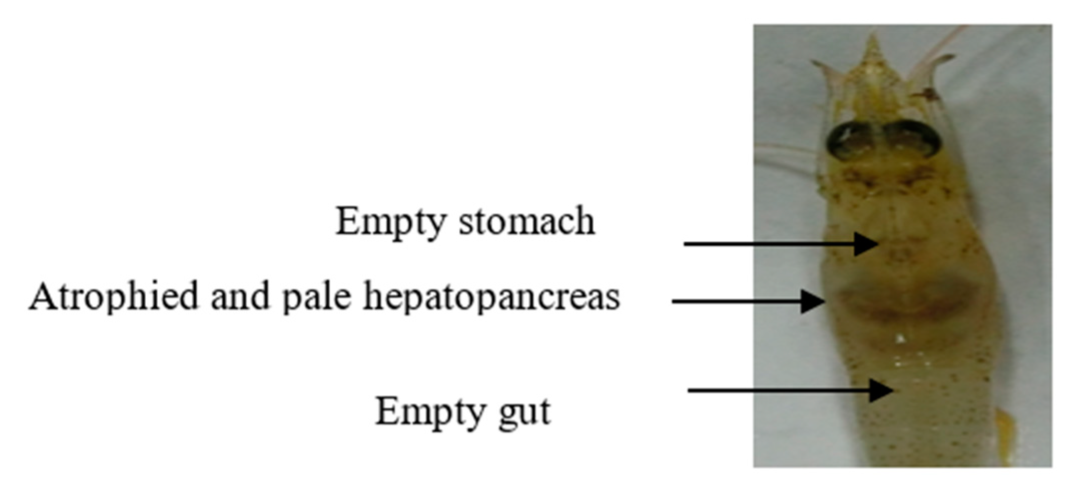 Biology 09 00312 g001