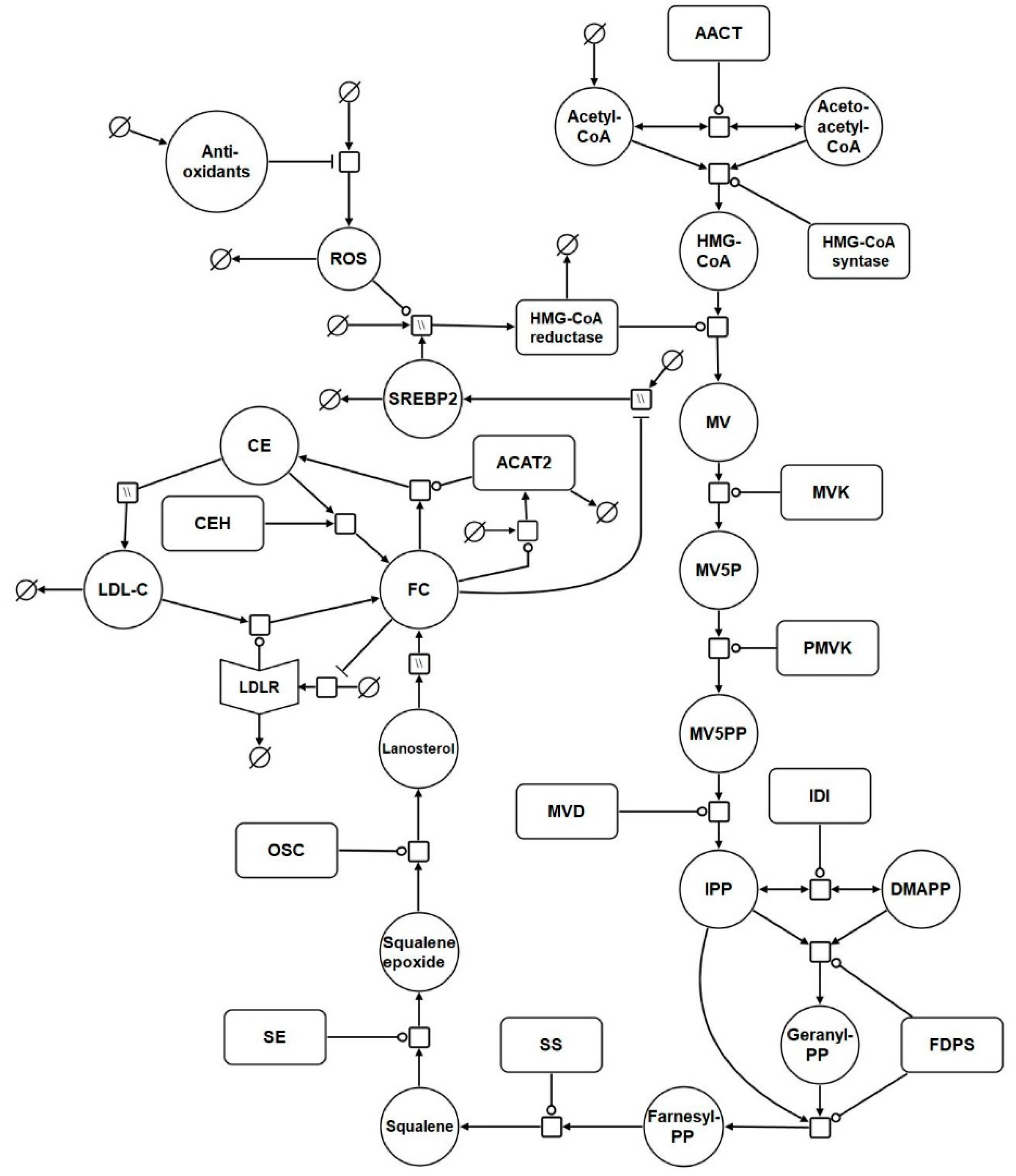 Biology 09 00314 g001 Biology 09 00314 g001