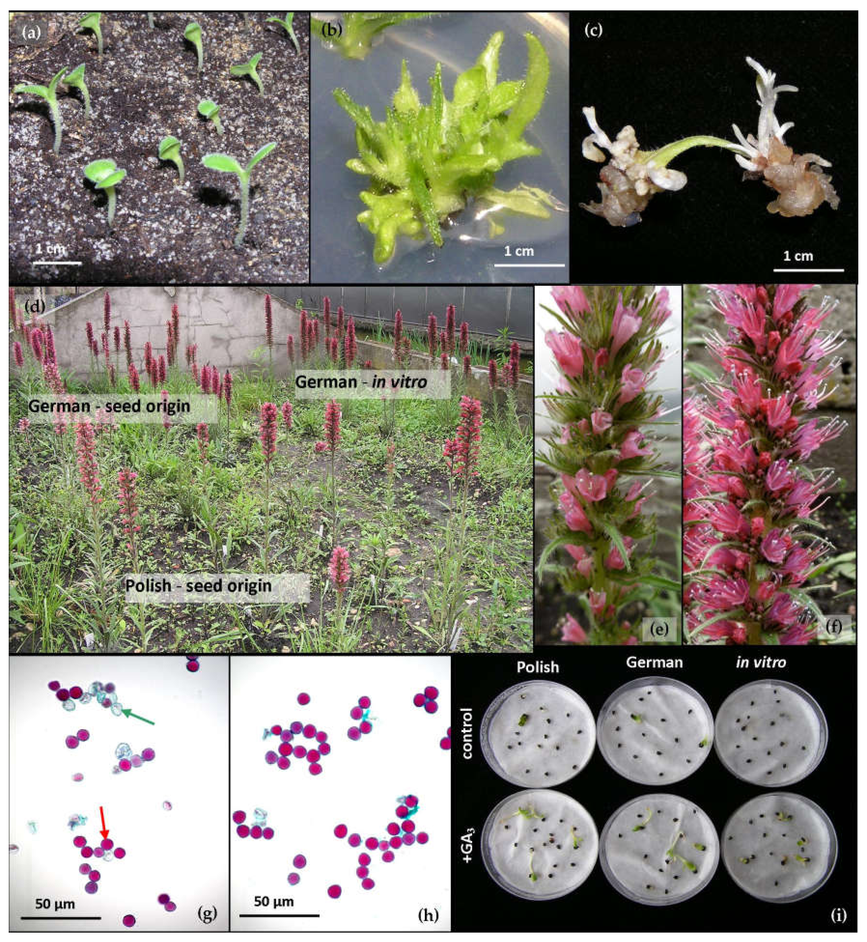 Biology 09 00317 g001 Biology 09 00317 g001