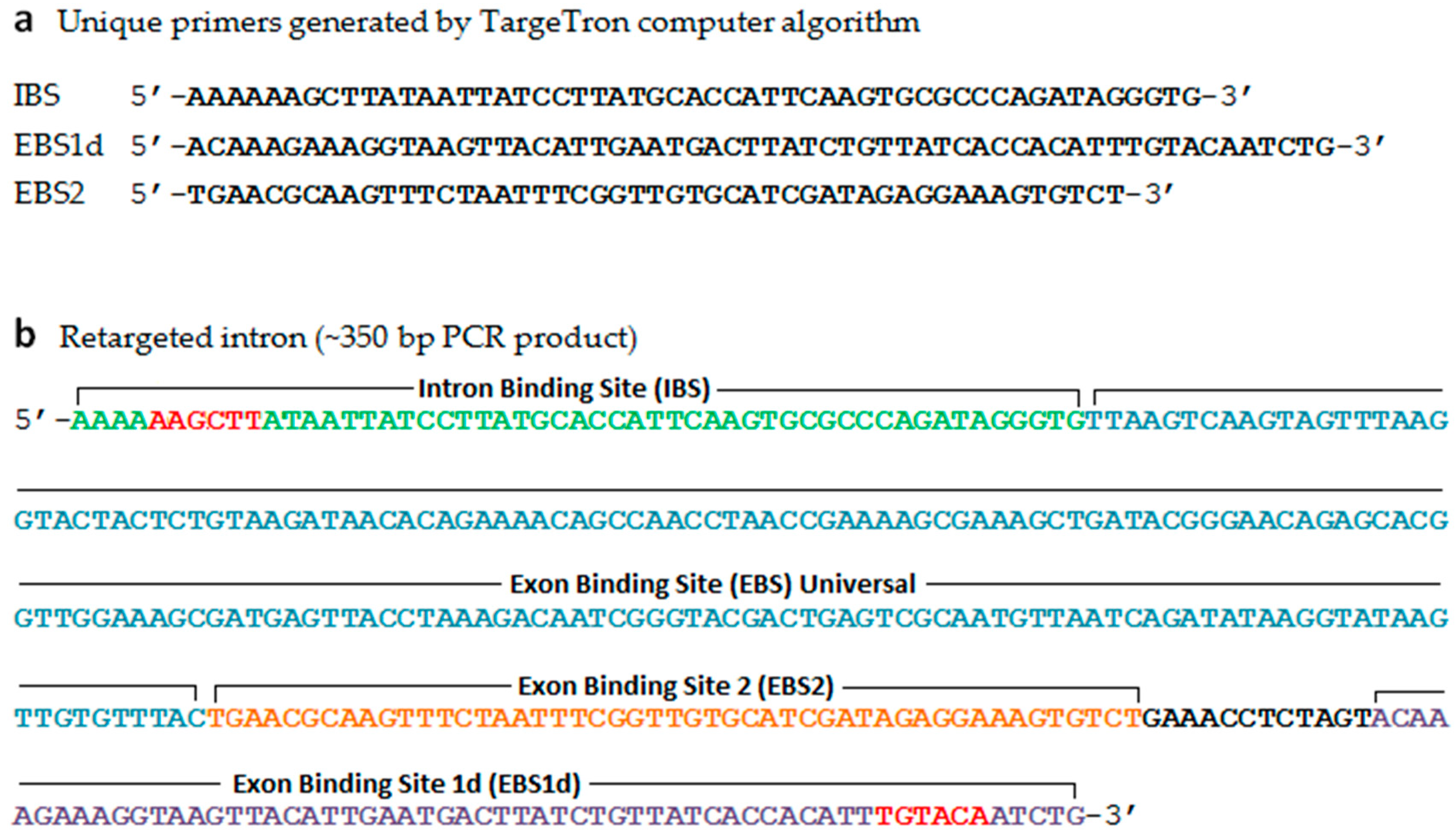 Biology 09 00323 g001 Biology 09 00323 g001
