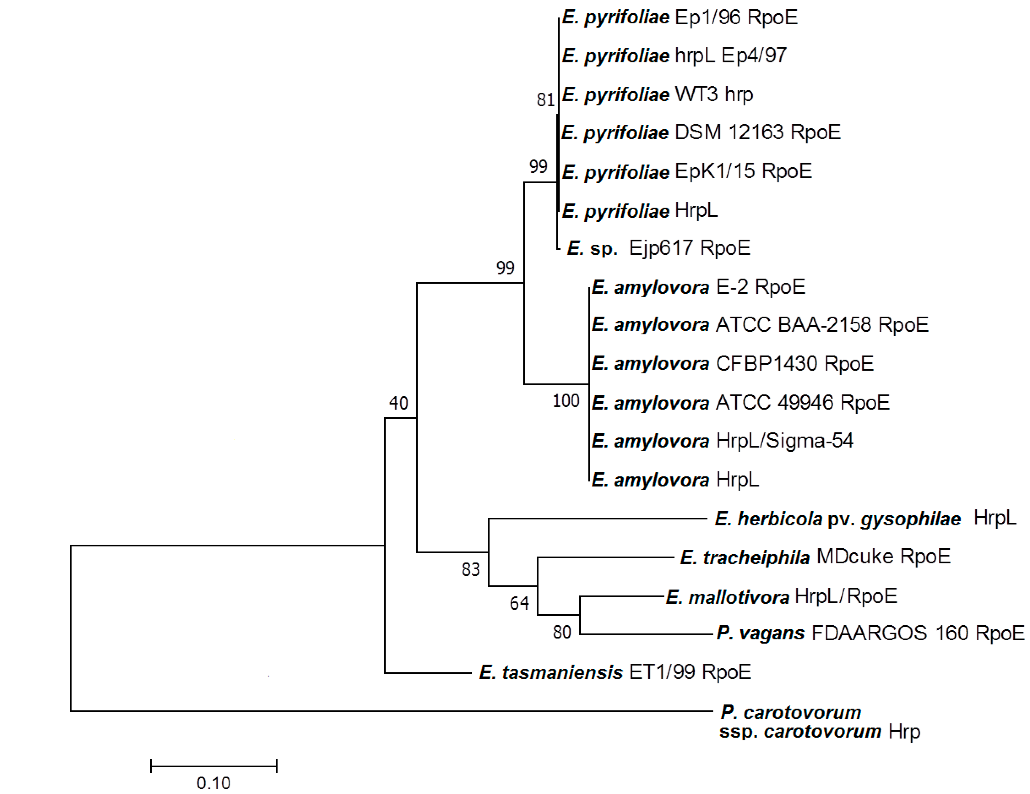 Biology 09 00323 g003 Biology 09 00323 g003