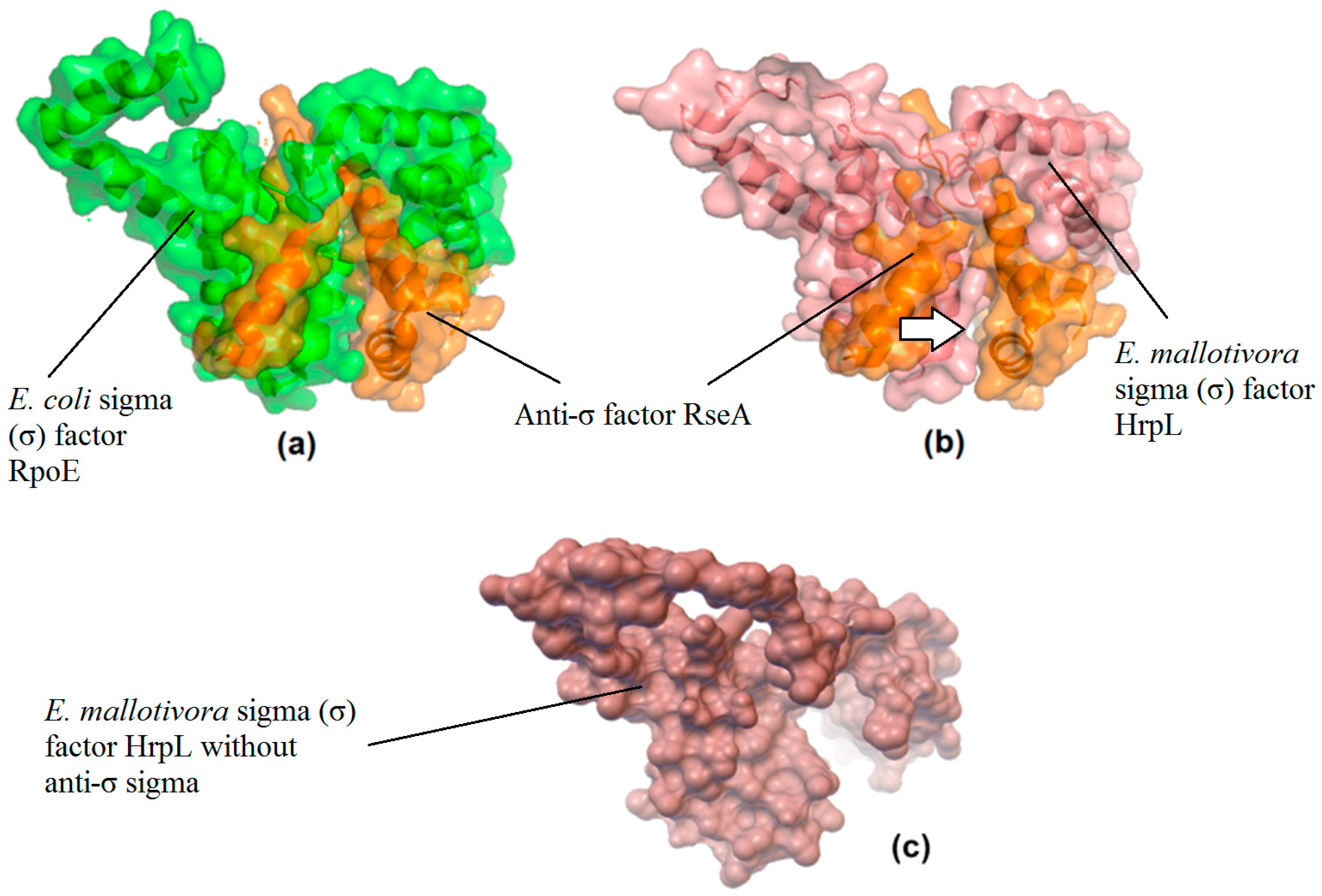 Biology 09 00323 g006 Biology 09 00323 g006