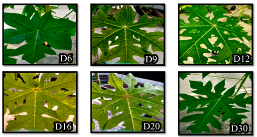 Biology 09 00323 i002 Biology 09 00323 i002