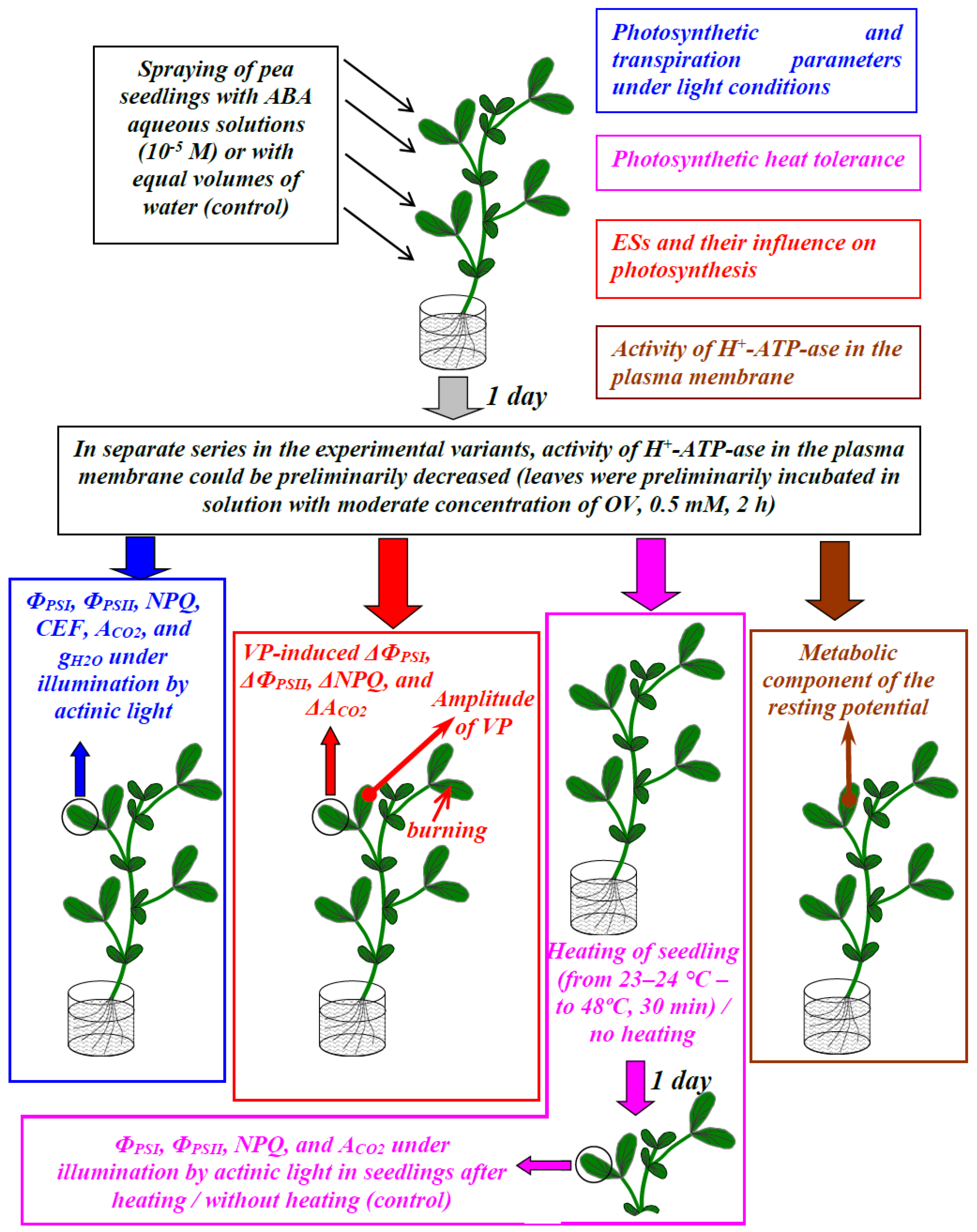 Biology 09 00324 g001 Biology 09 00324 g001