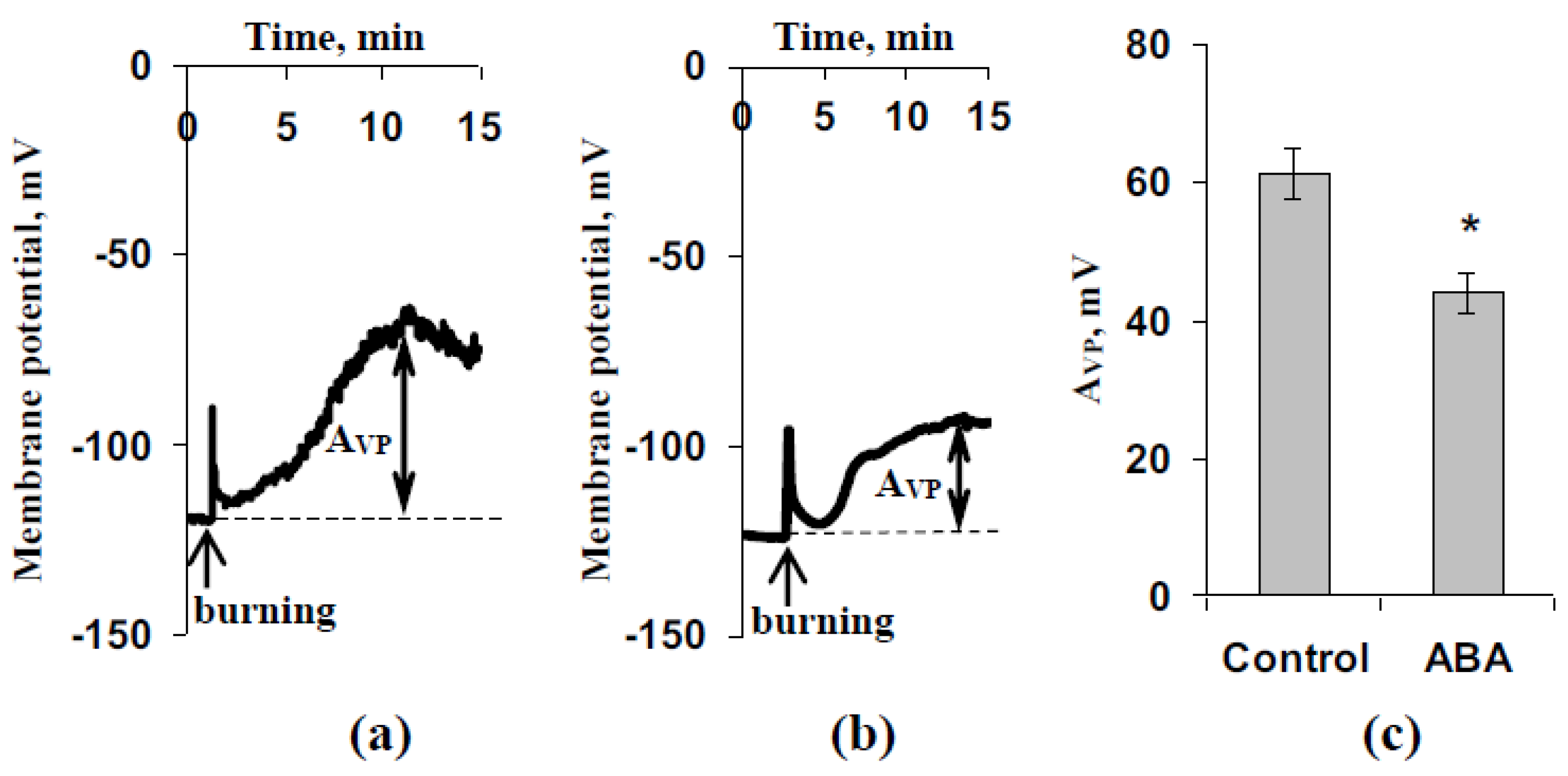 Biology 09 00324 g004 Biology 09 00324 g004