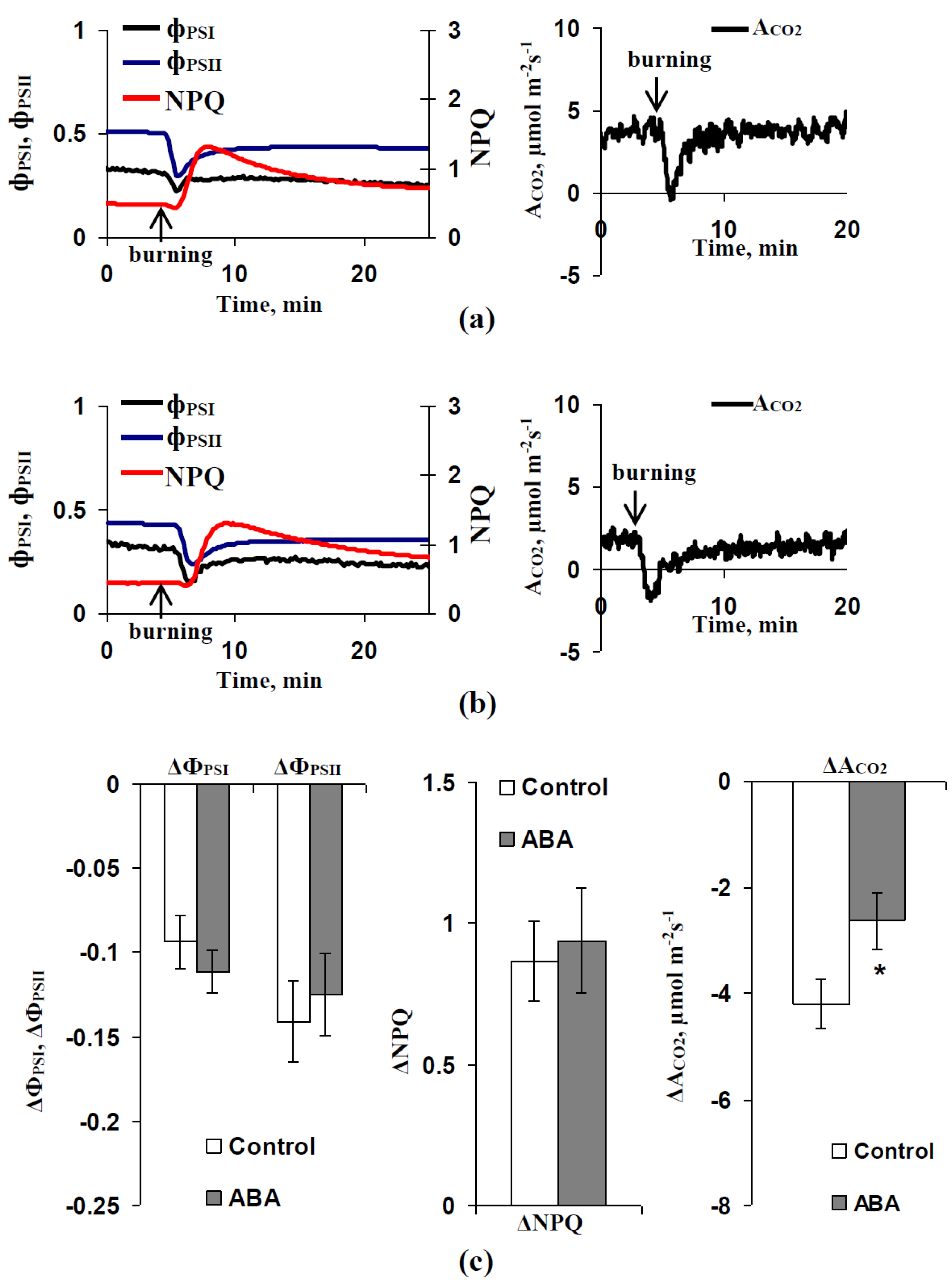 Biology 09 00324 g005 Biology 09 00324 g005