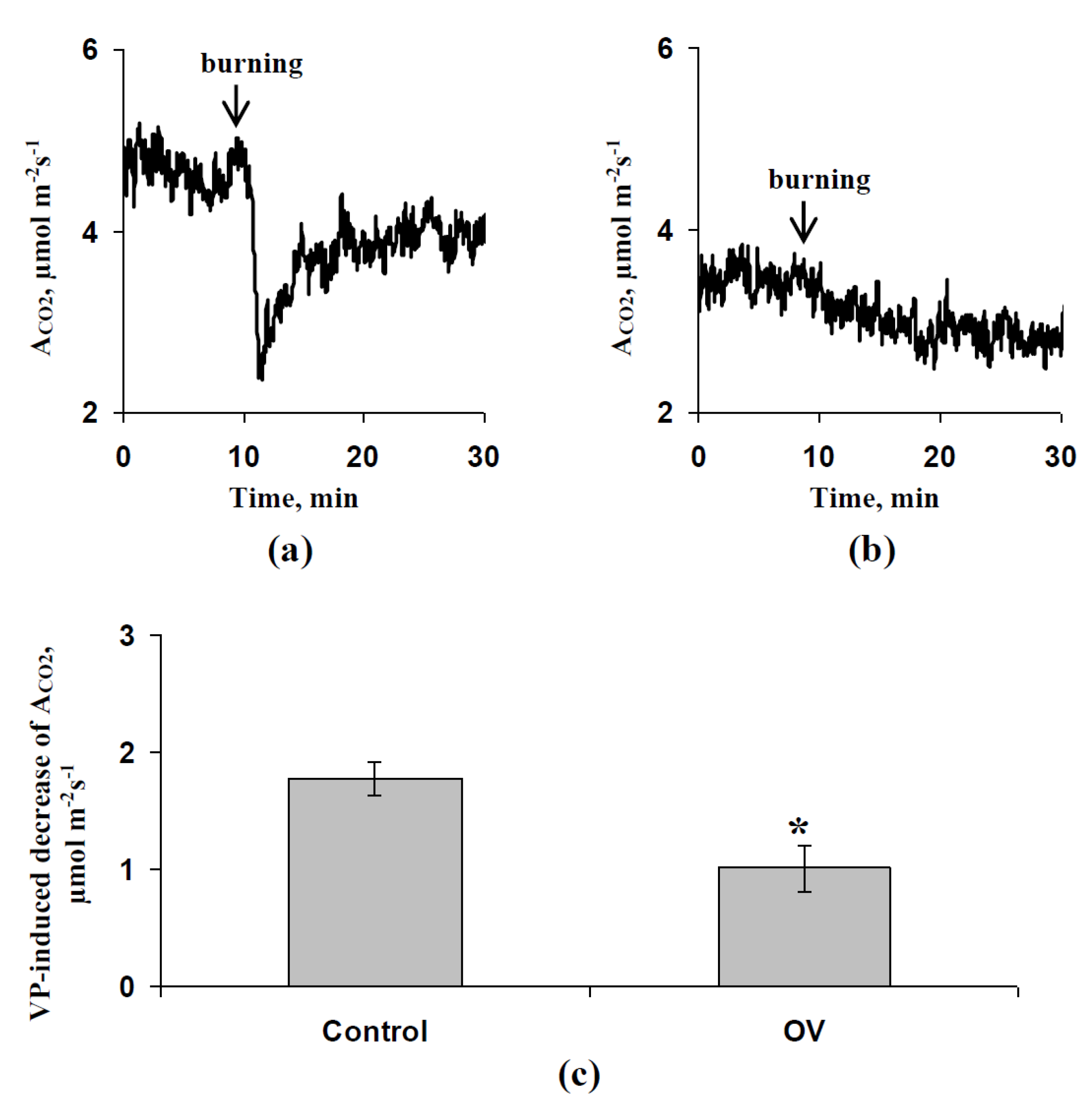Biology 09 00324 g010 Biology 09 00324 g010