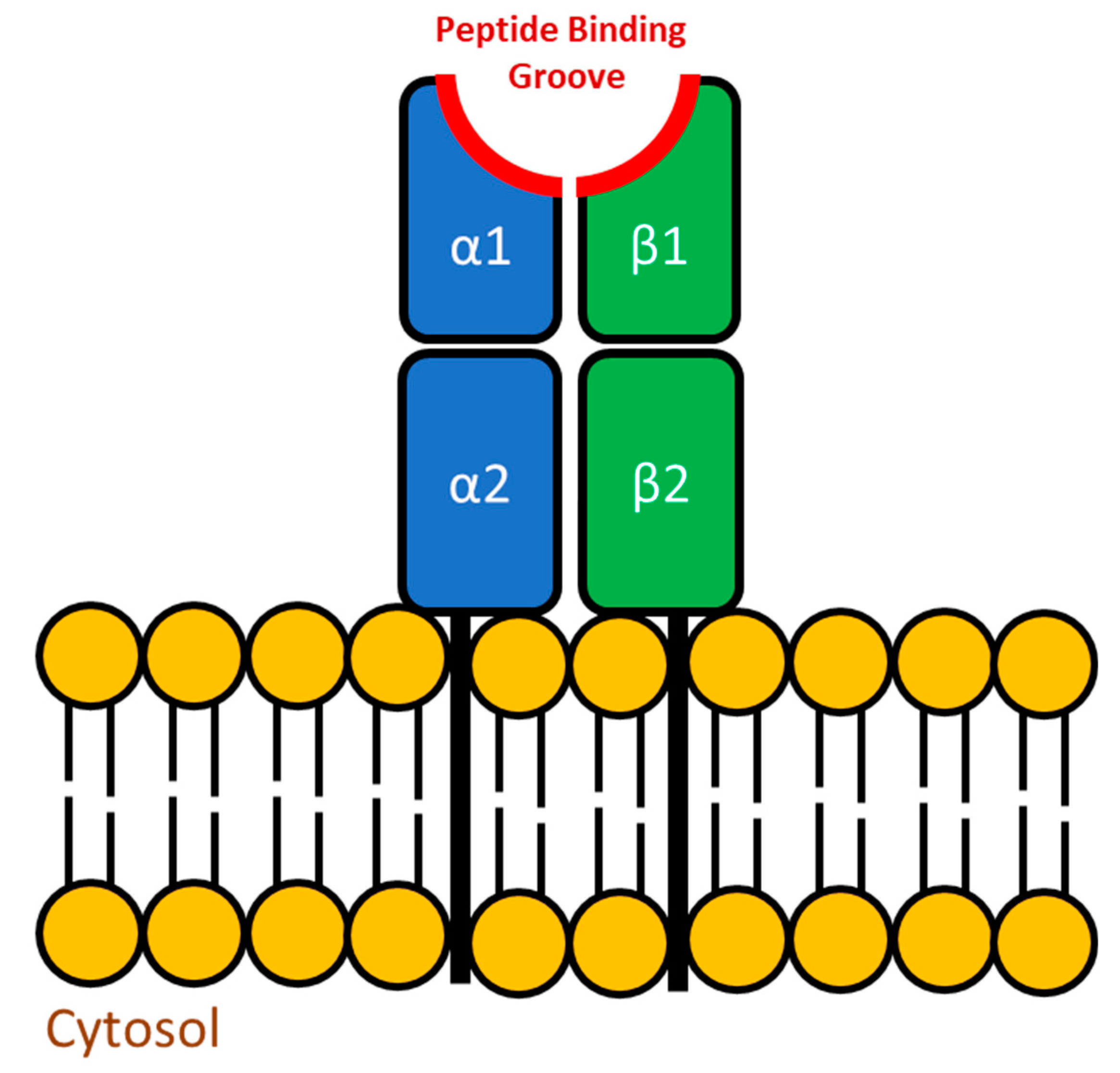 Biology 09 00331 g002